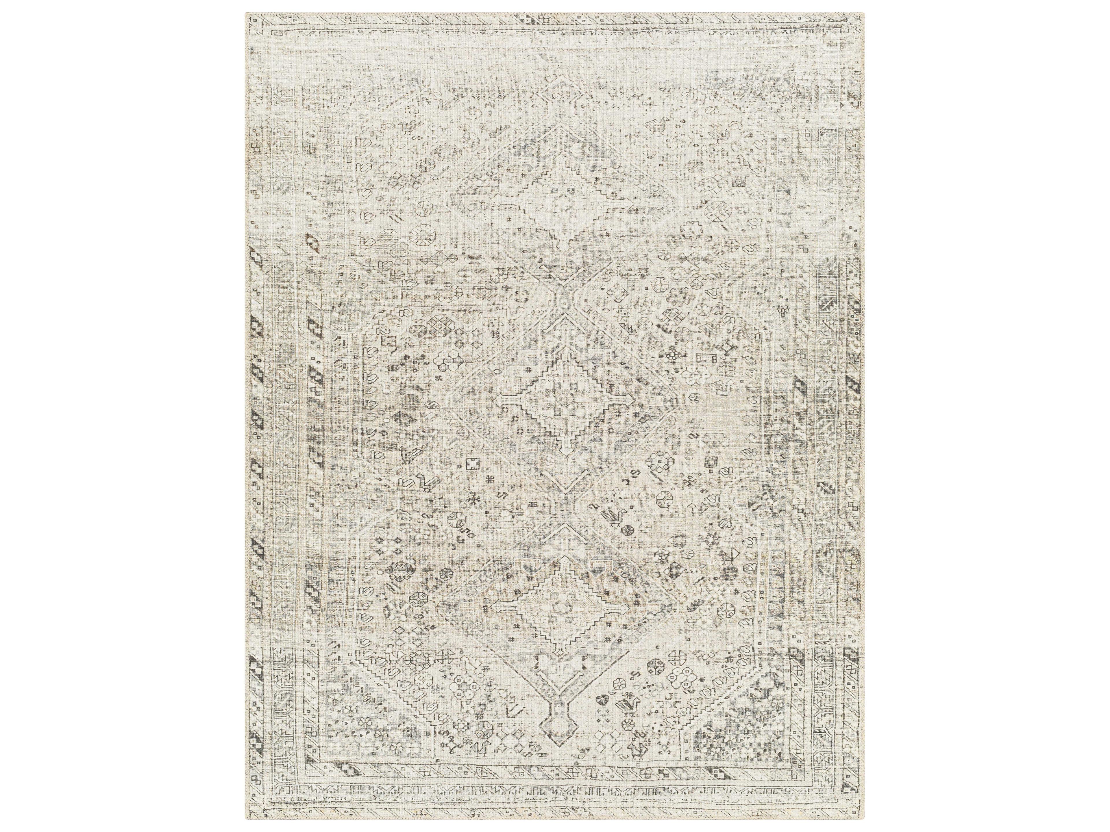 Amelie Bordered Runner Area Rug
