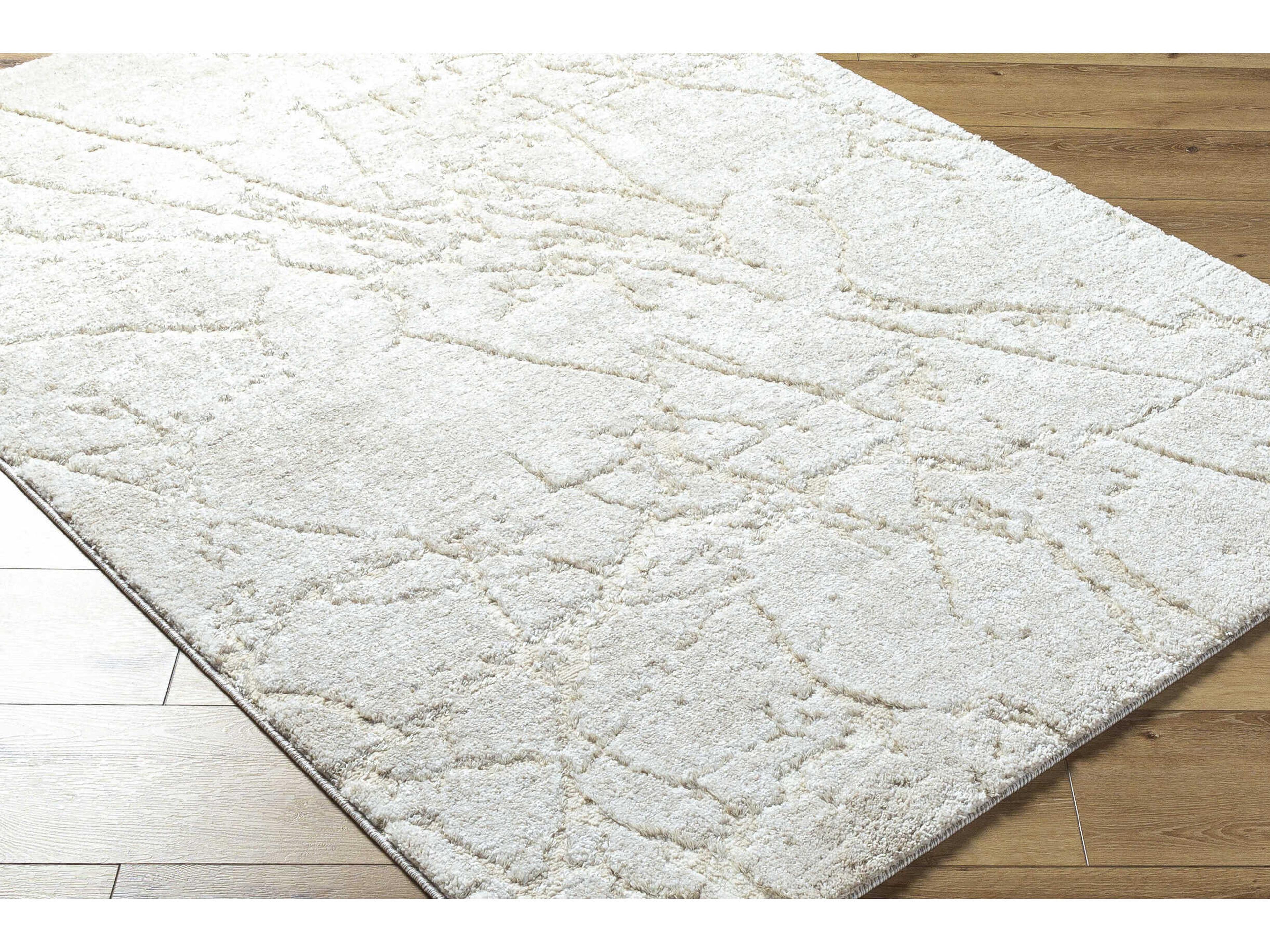 Livabliss by Surya Andorra Plus Abstract Area Rug