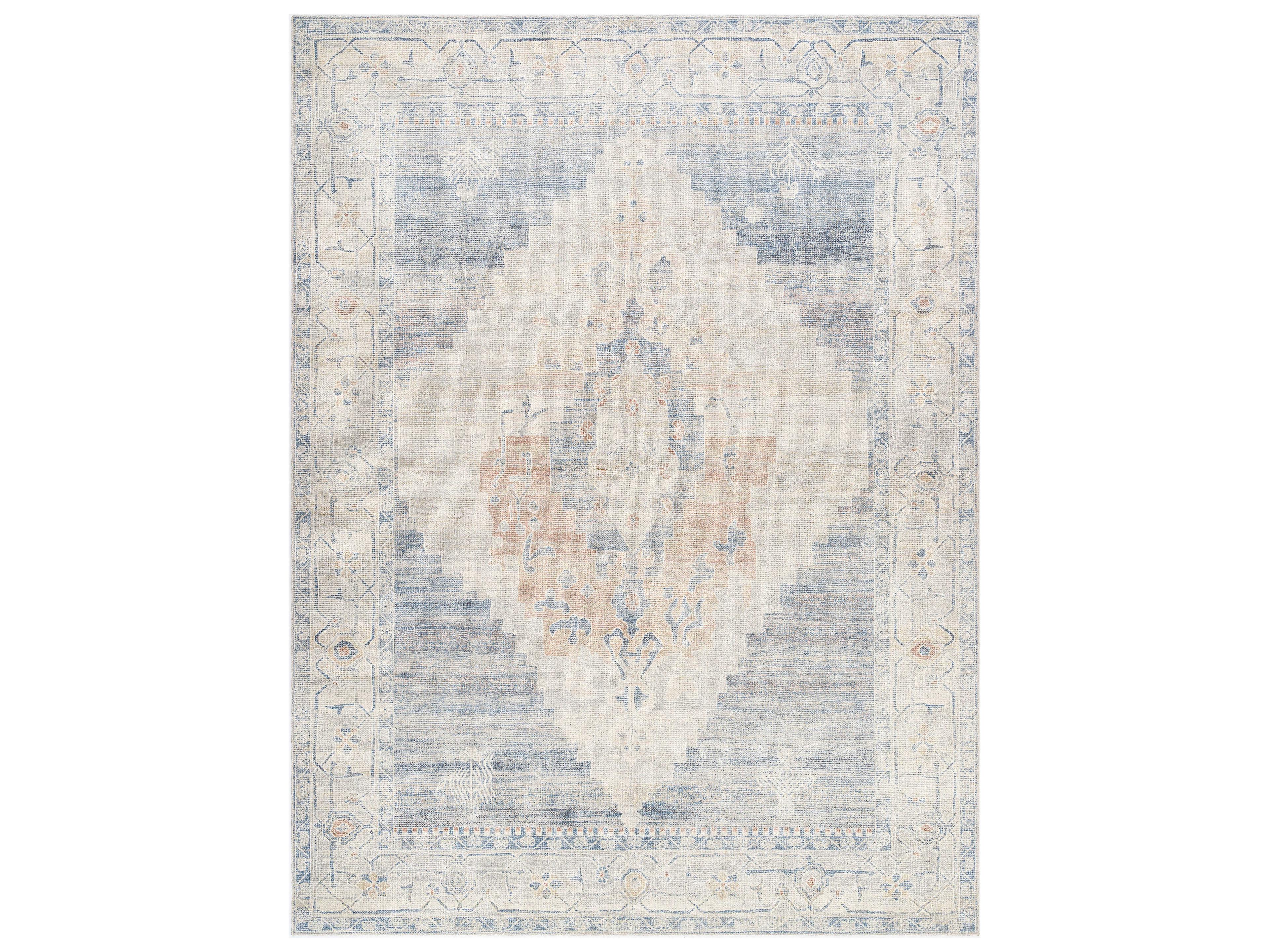 Luca Bordered Runner Area Rug