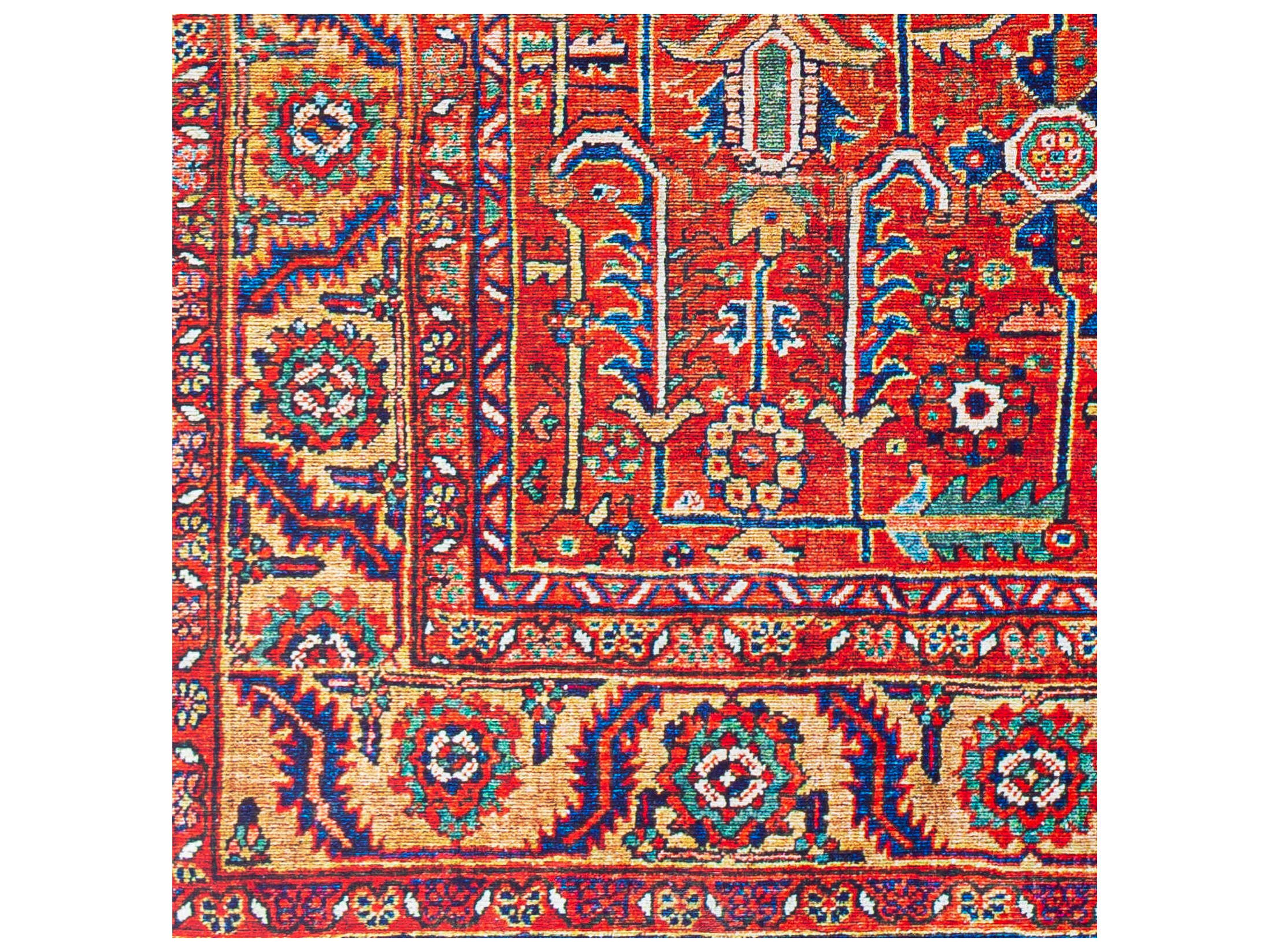 Livabliss by Surya Iris Bordered Runner Area Rug