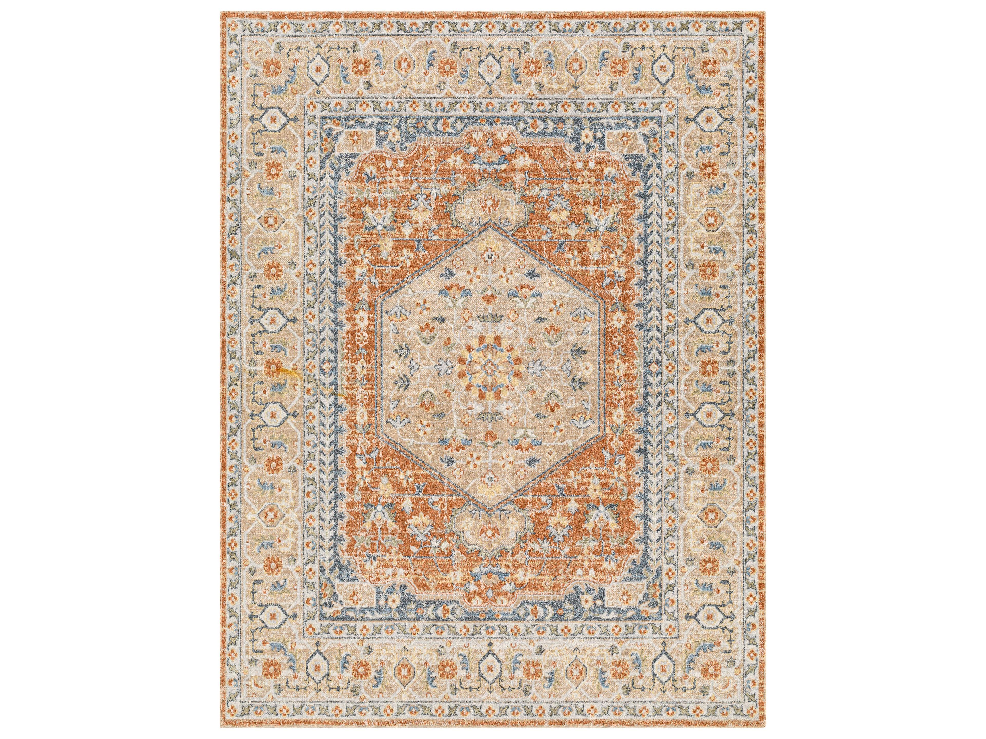 Lillian Bordered Runner Area Rug