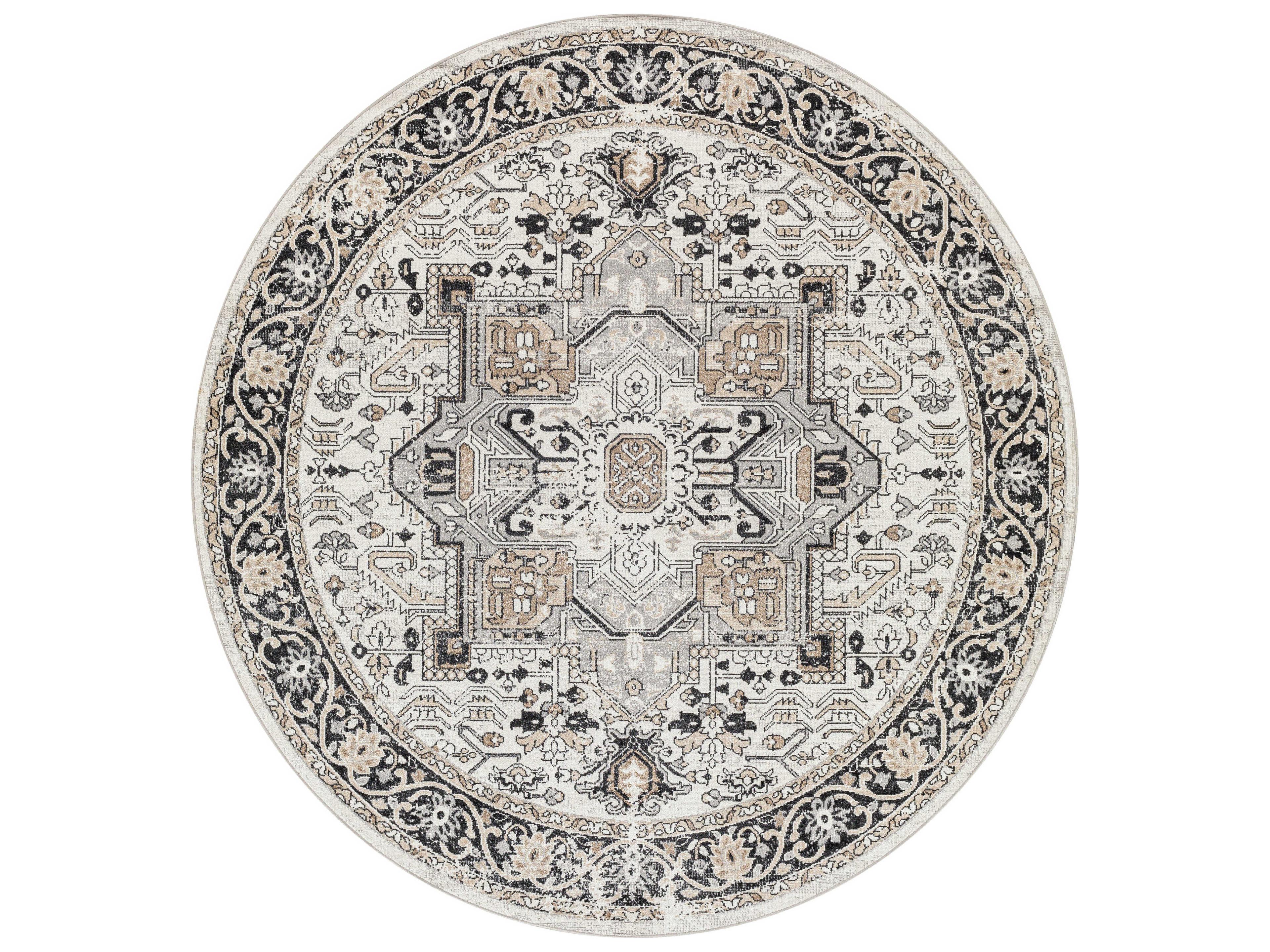 Lavadora Bordered Area Rug