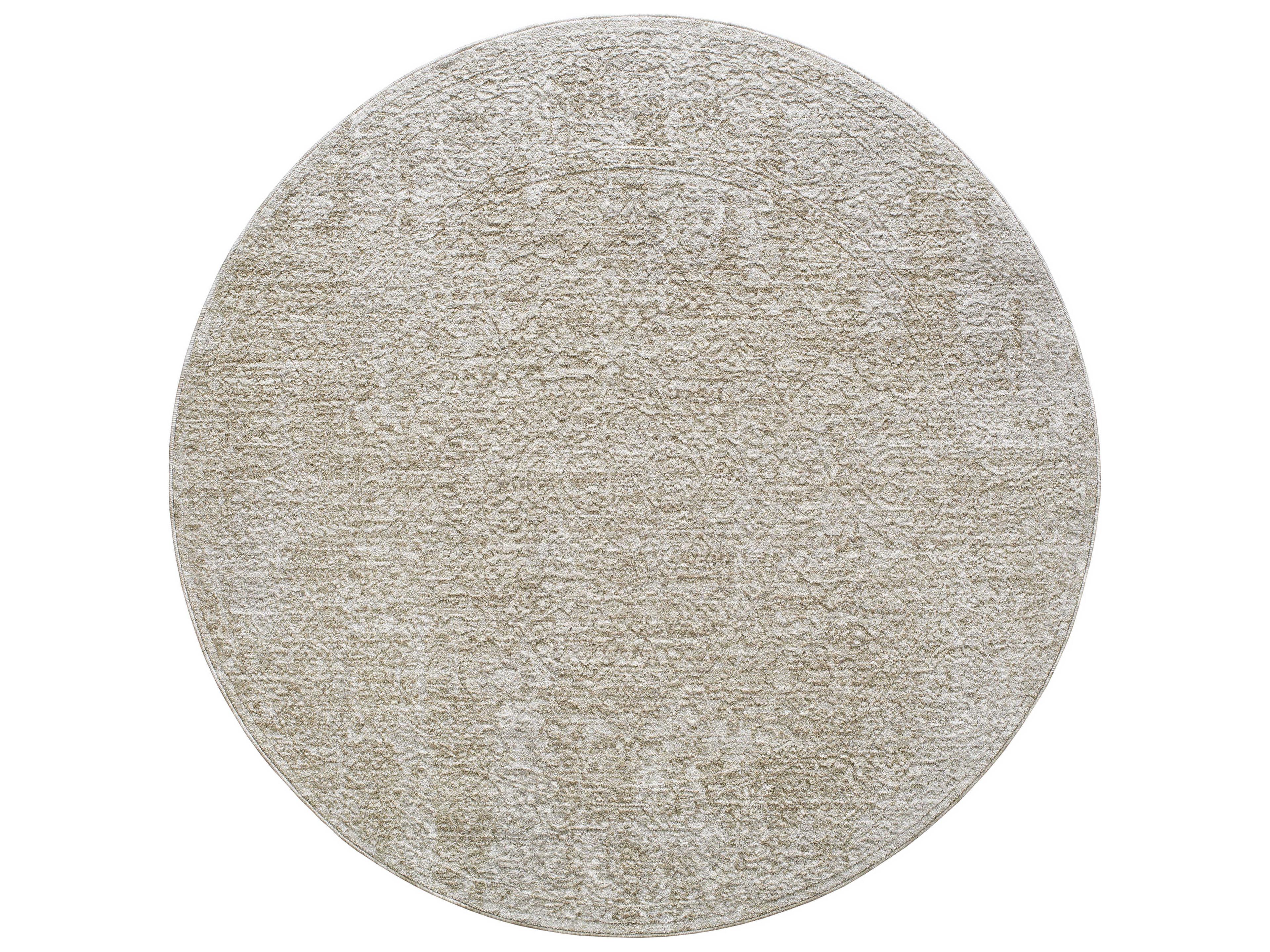 Masterpiece Bordered Area Rug