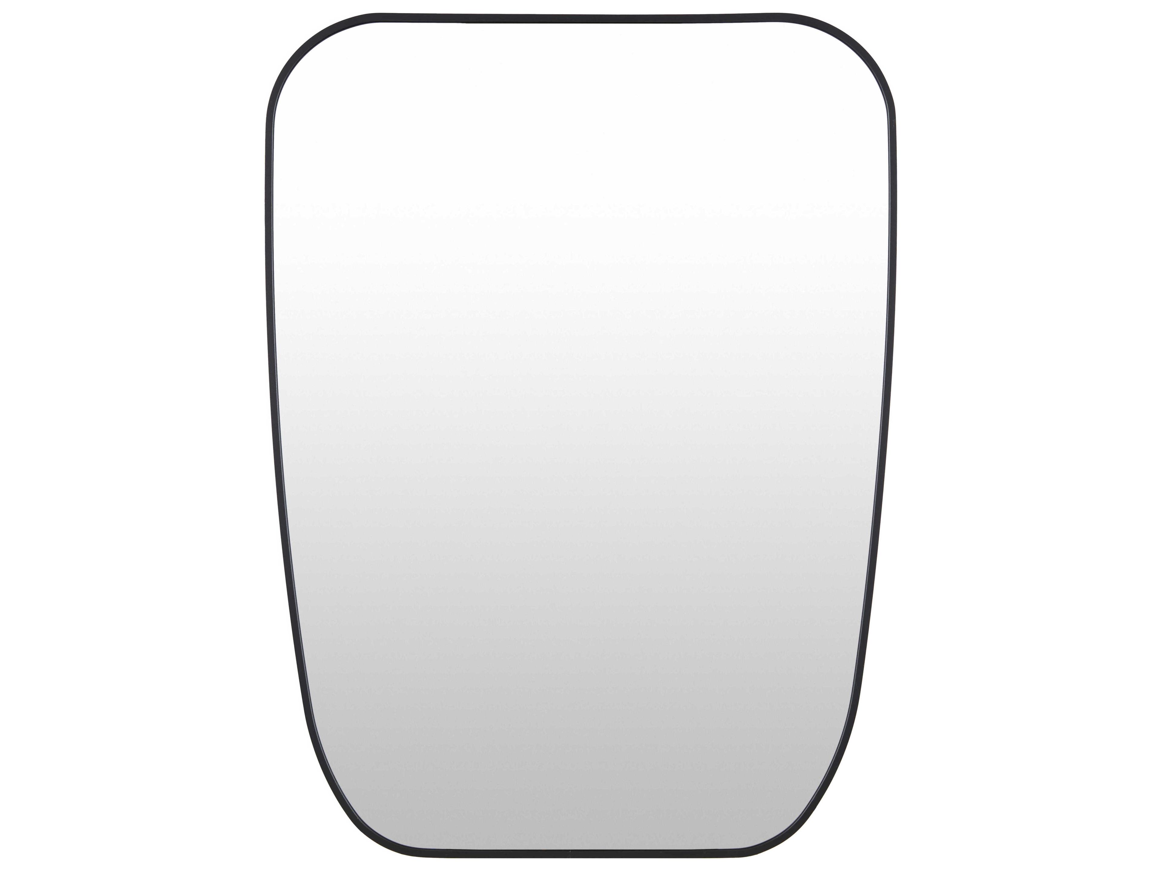 Aranya Brushed Black Wall Mirror