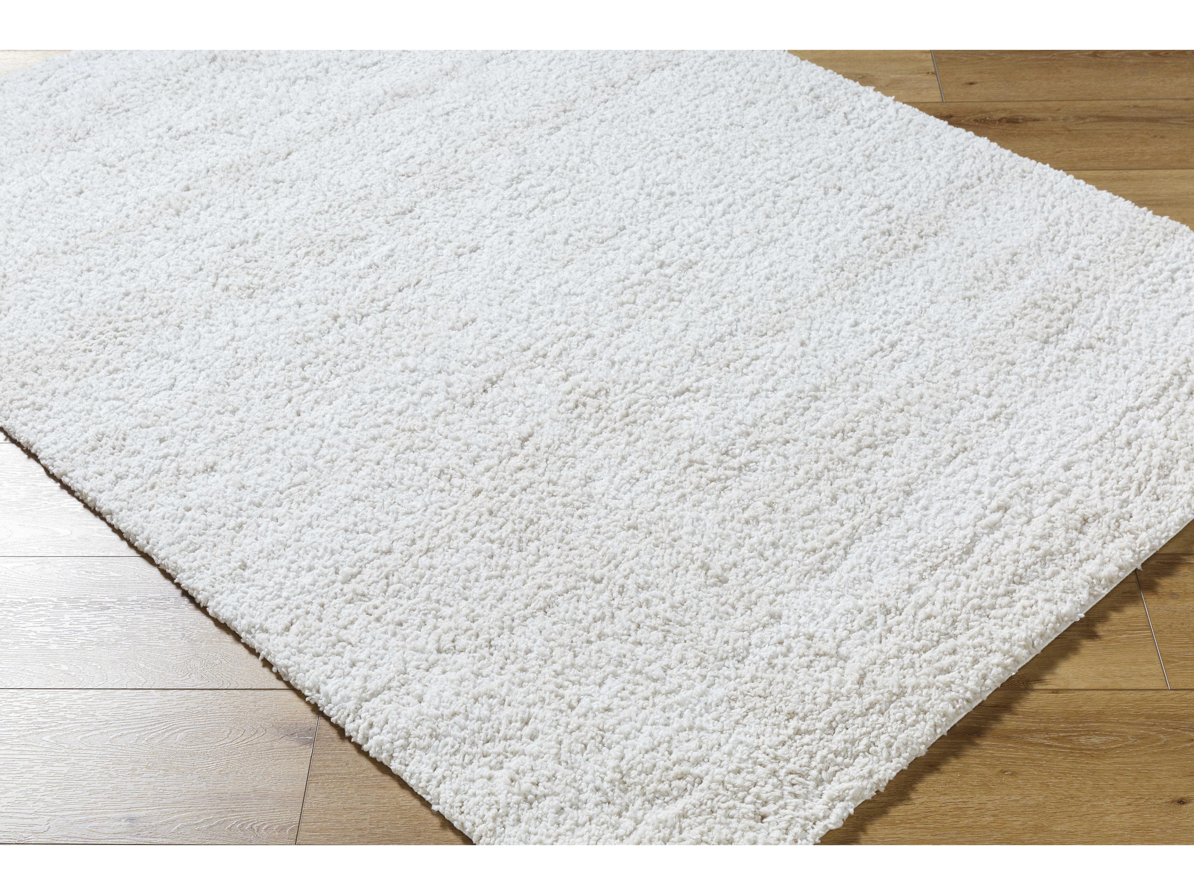 Livabliss by Surya Sacramento Shag Area Rug