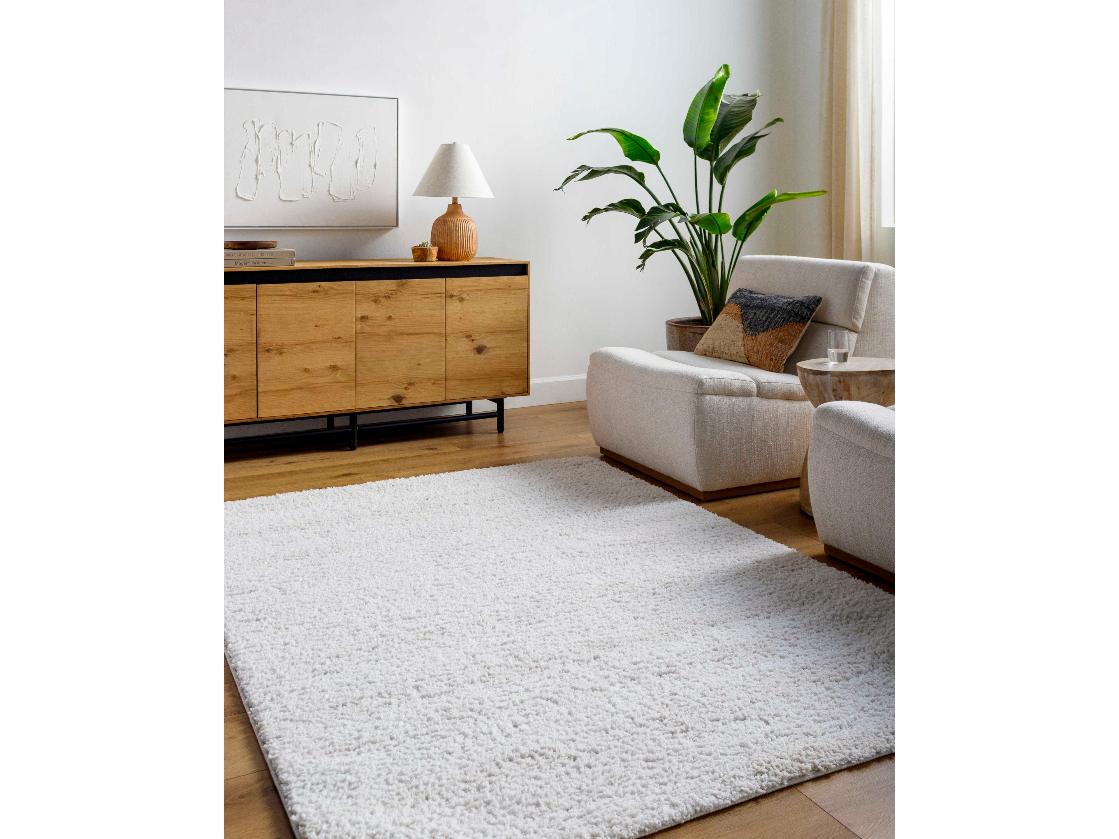 Livabliss by Surya Sacramento Shag Area Rug