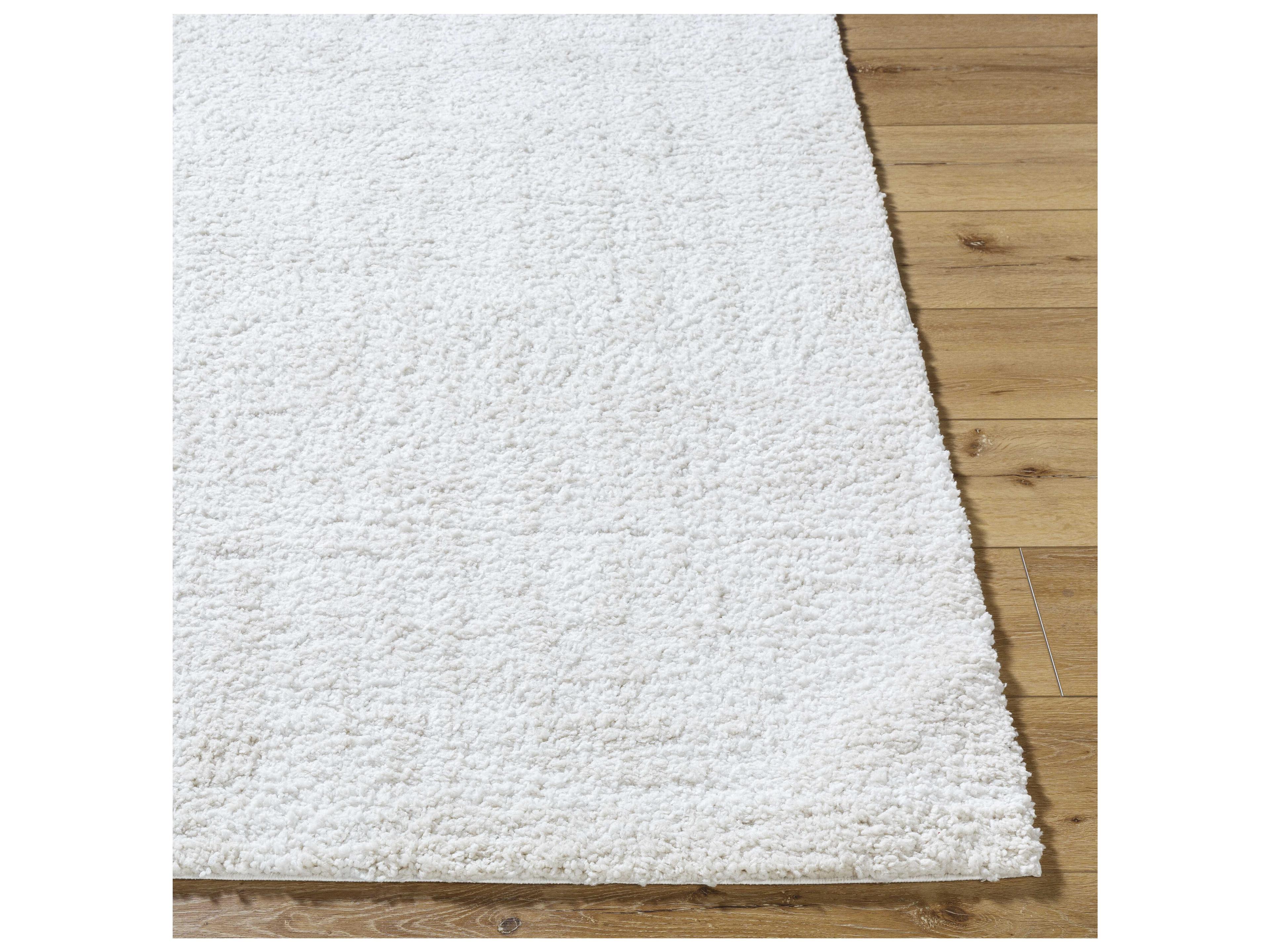 Livabliss by Surya Sacramento Shag Area Rug