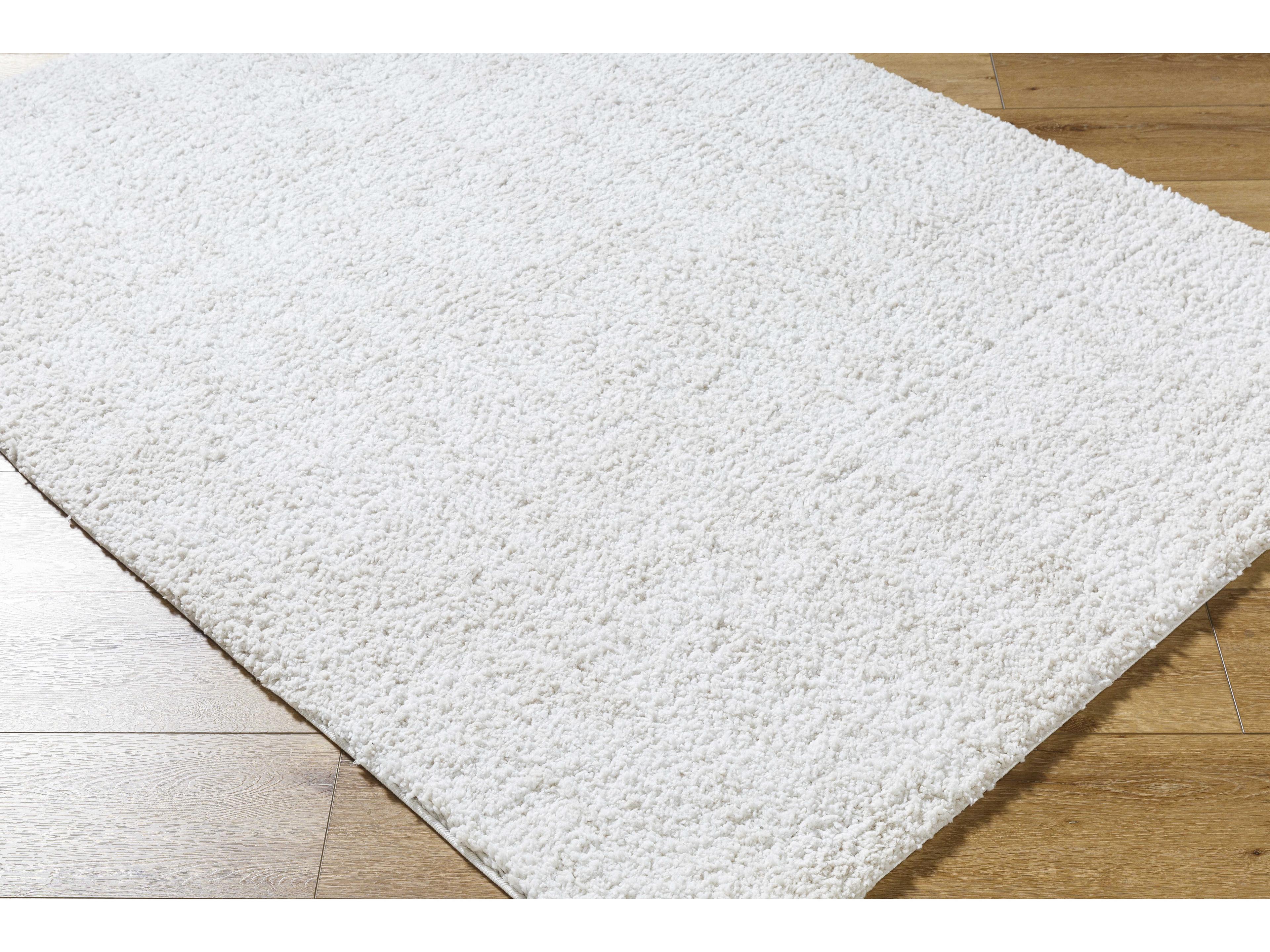 Livabliss by Surya Sacramento Shag Area Rug
