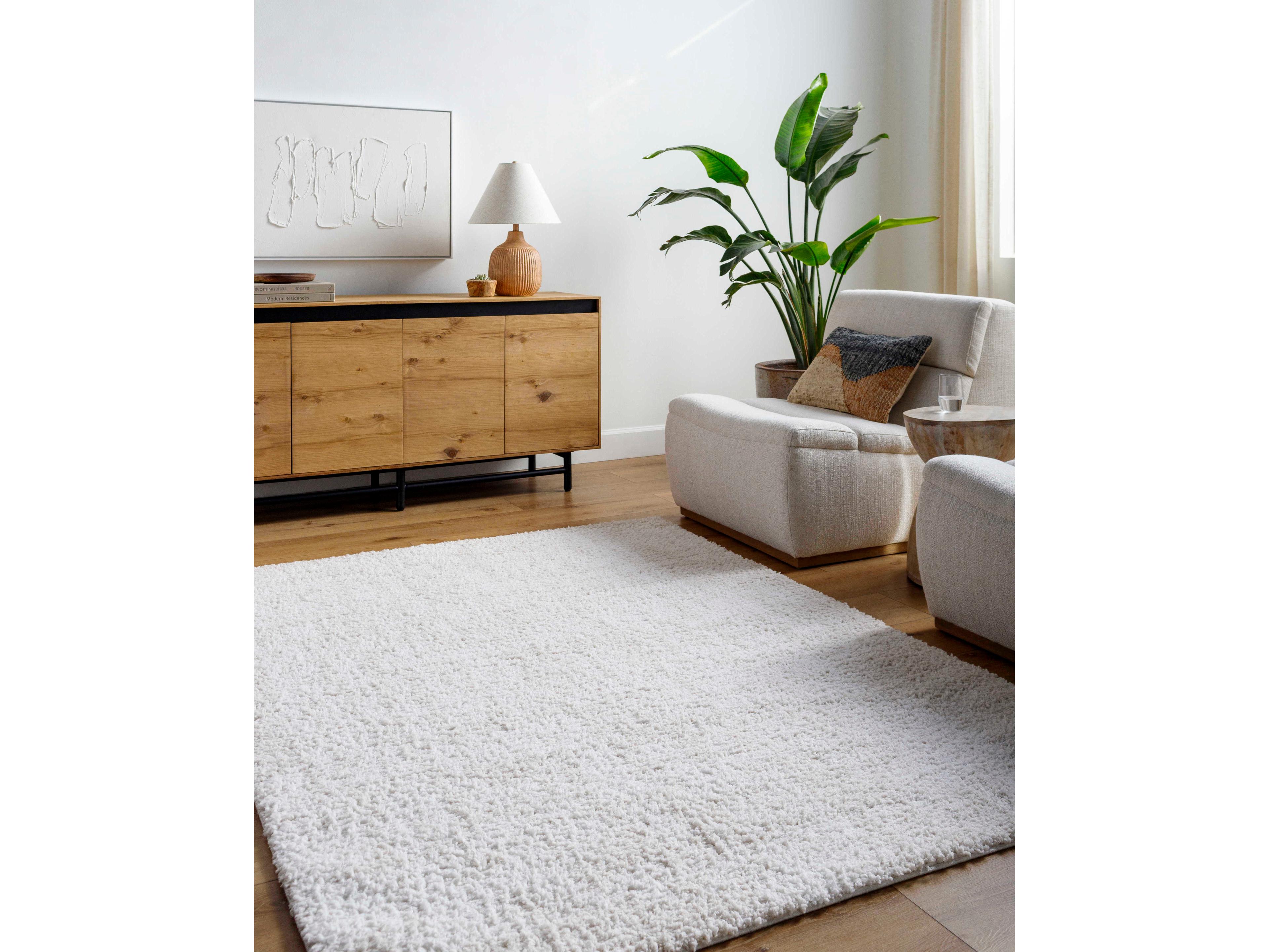 Livabliss by Surya Sacramento Shag Area Rug