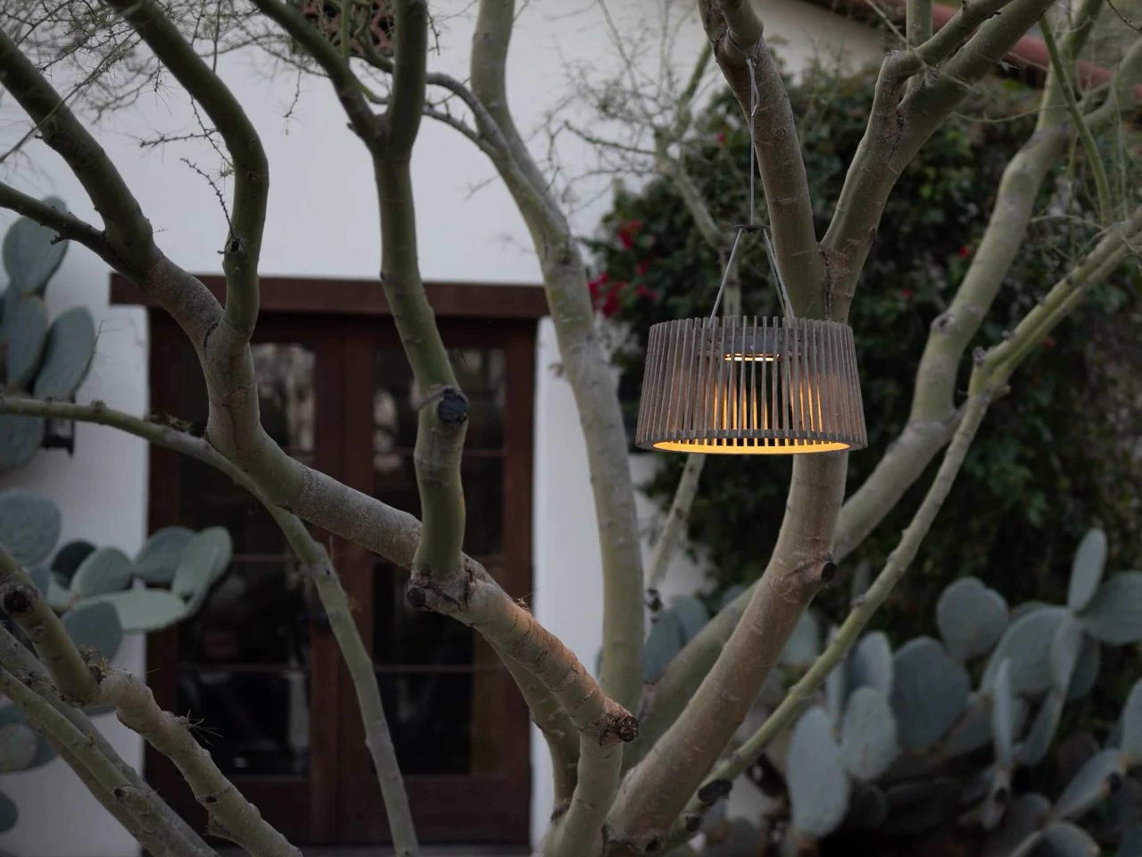 Les Jardins Muse 10-Light Outdoor Hanging Light