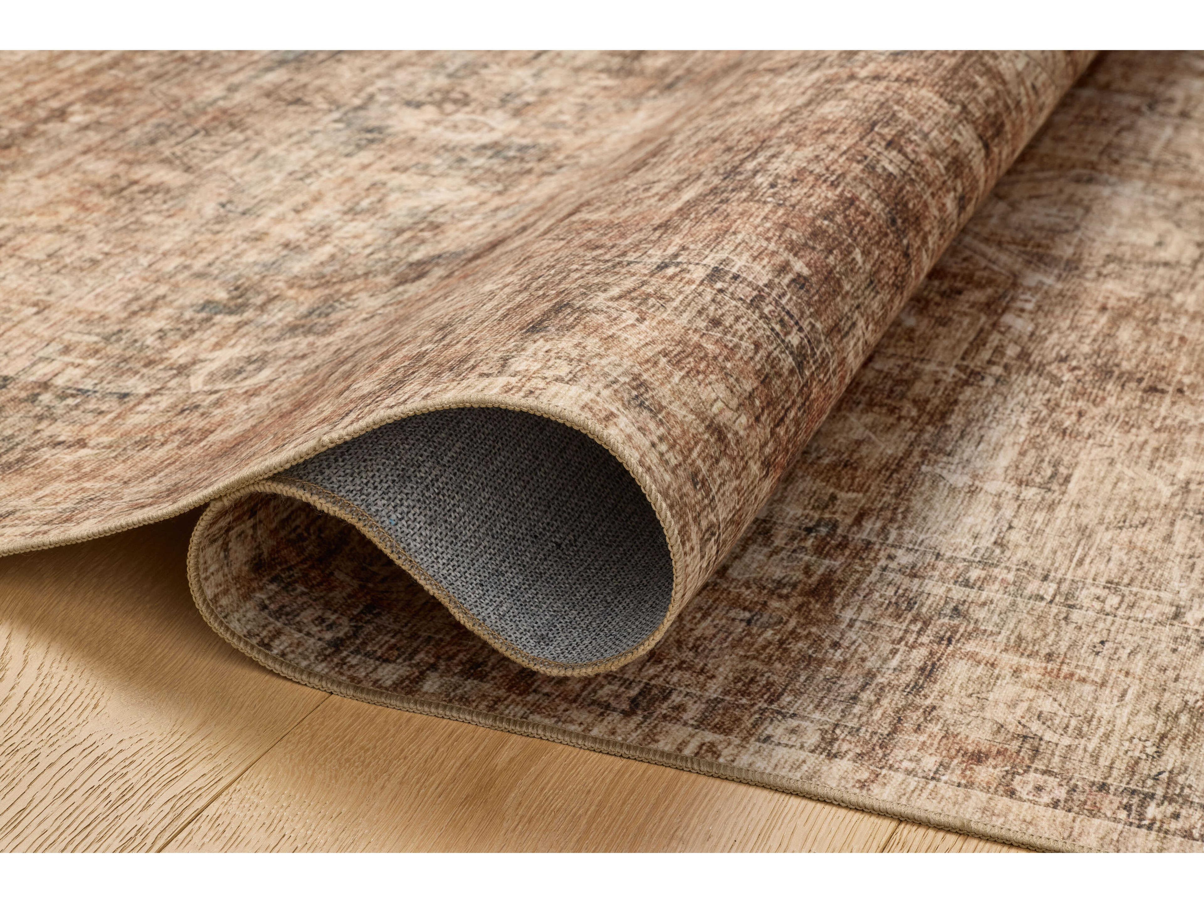 Loloi Rugs Anniston Bordered Area Rug