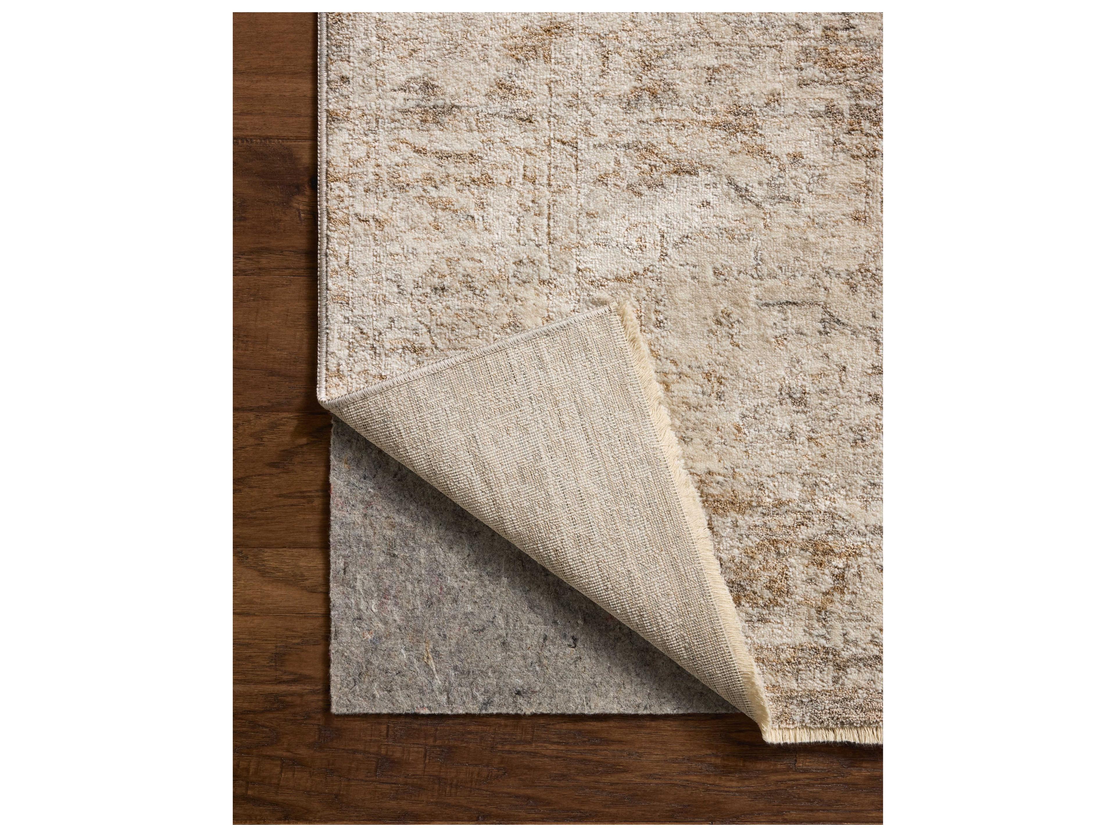 Loloi Rugs Clarisse Bordered Area Rug