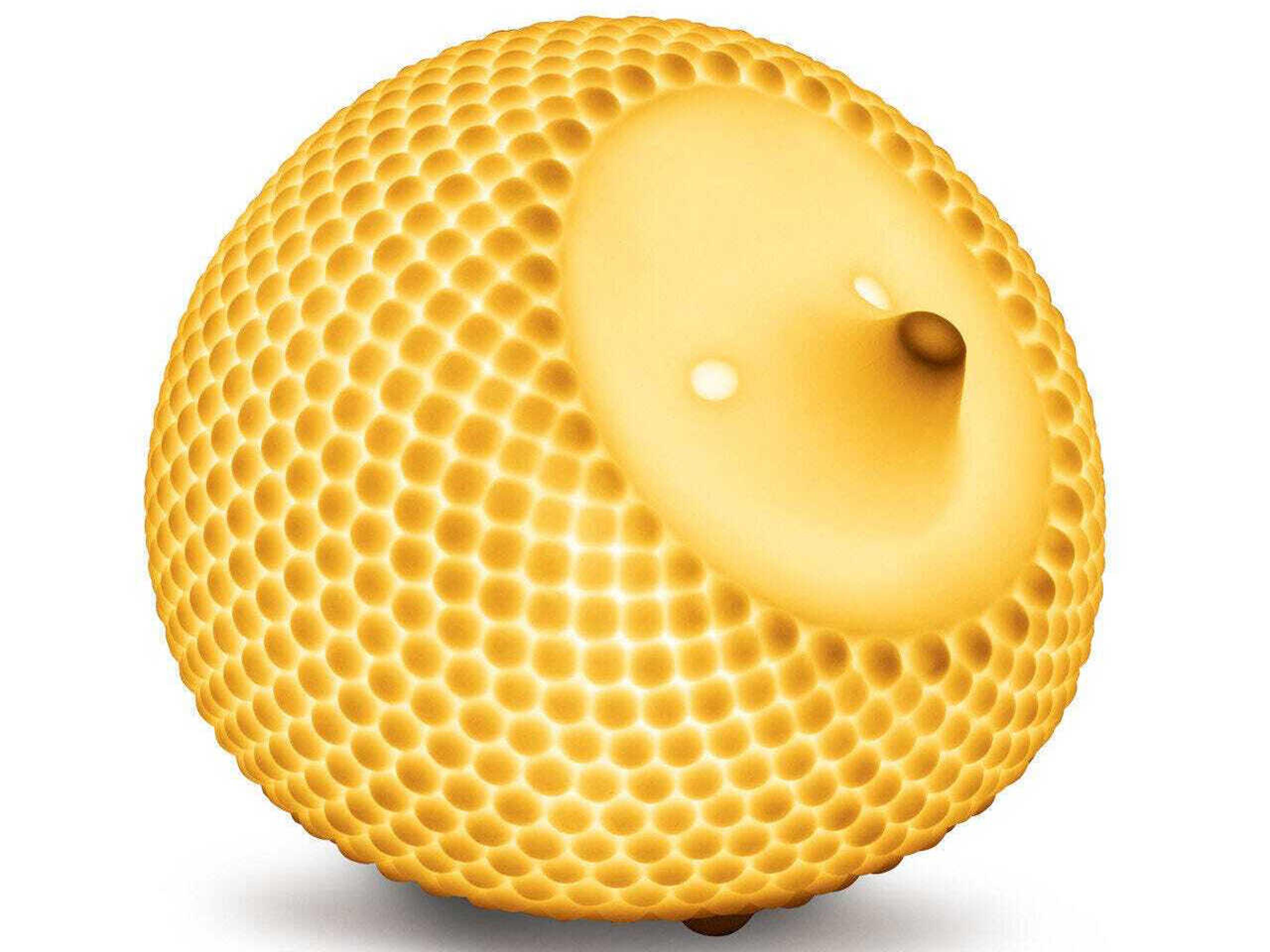 Hedgehog Cordless USB Lamp