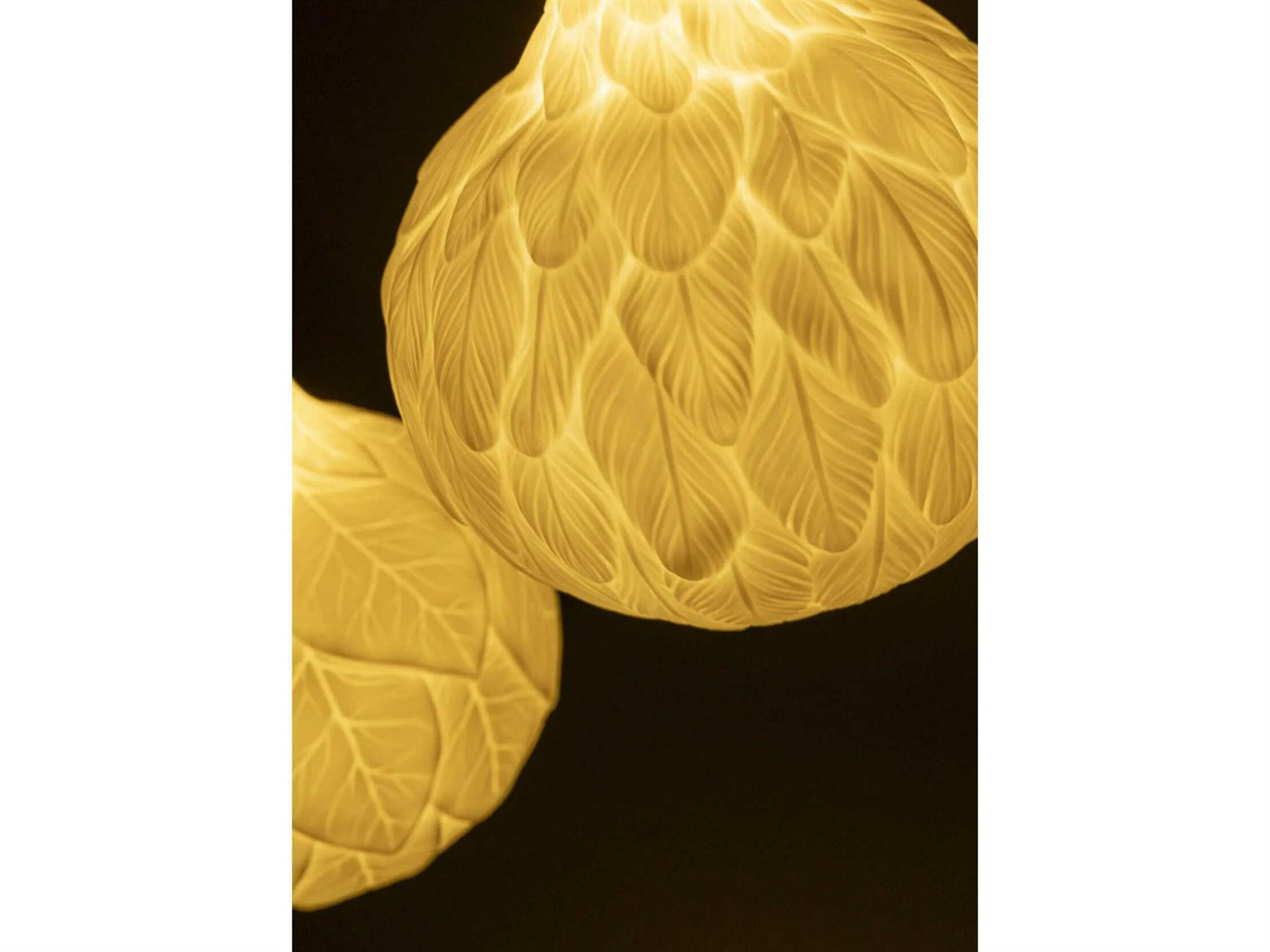 Lladro Feathers Light Bulb