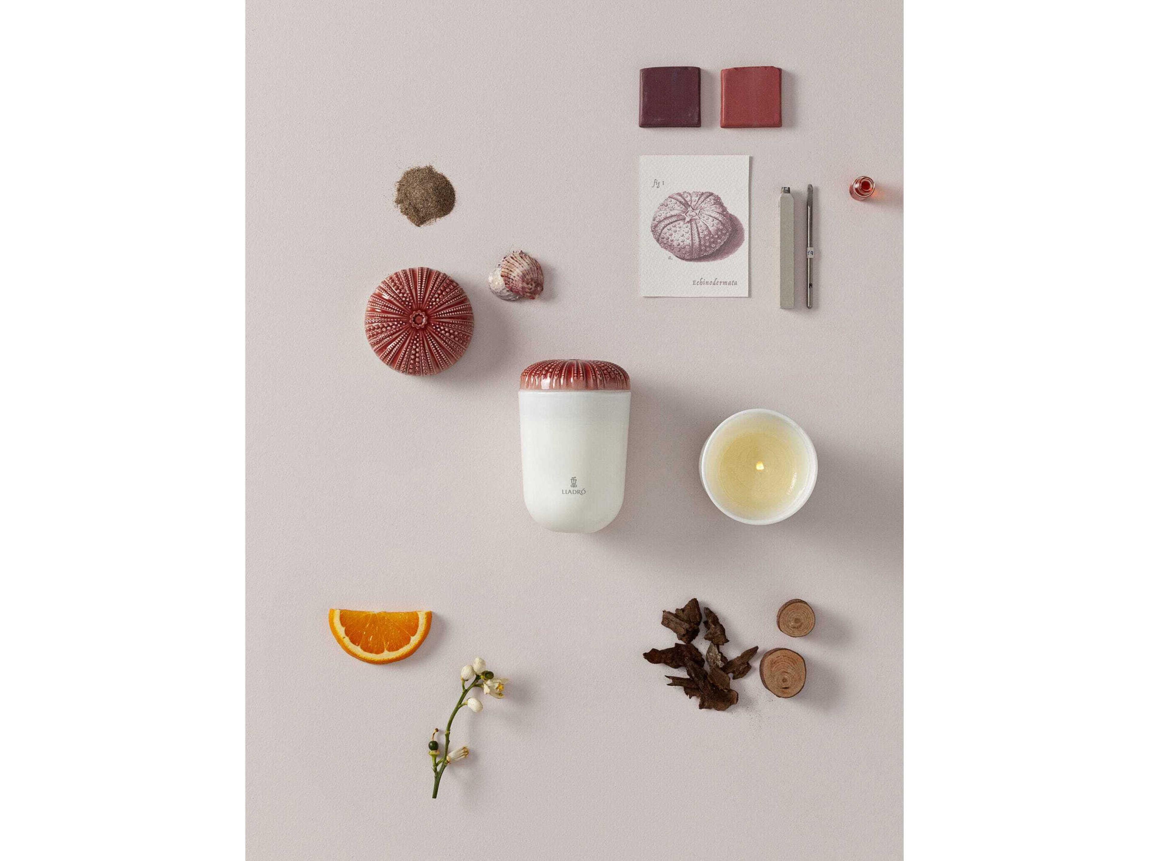 Lladro Echoes of Nature Mediterranean Beach Candle