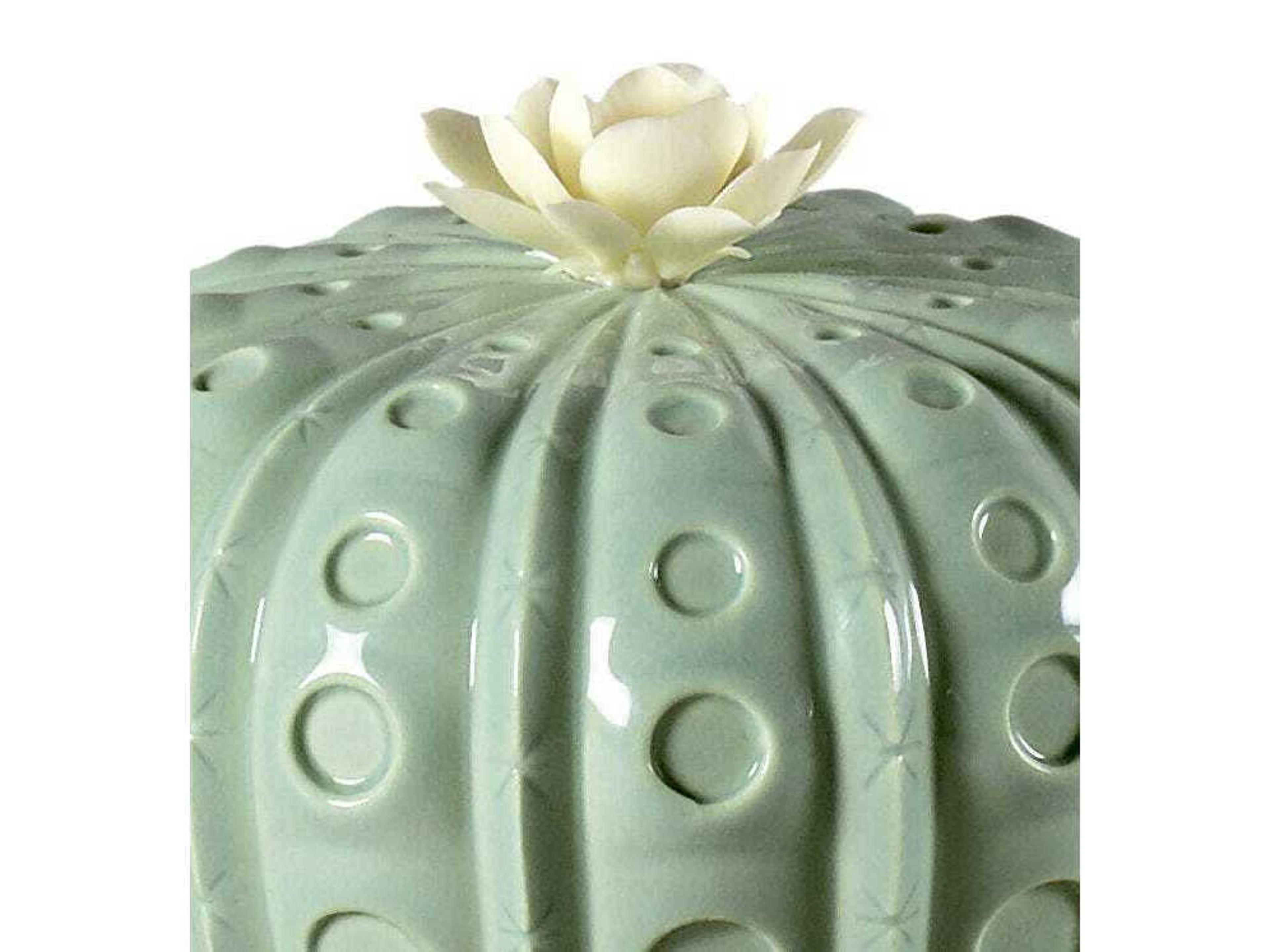 Lladro Astrophytum Cactus Diffuser