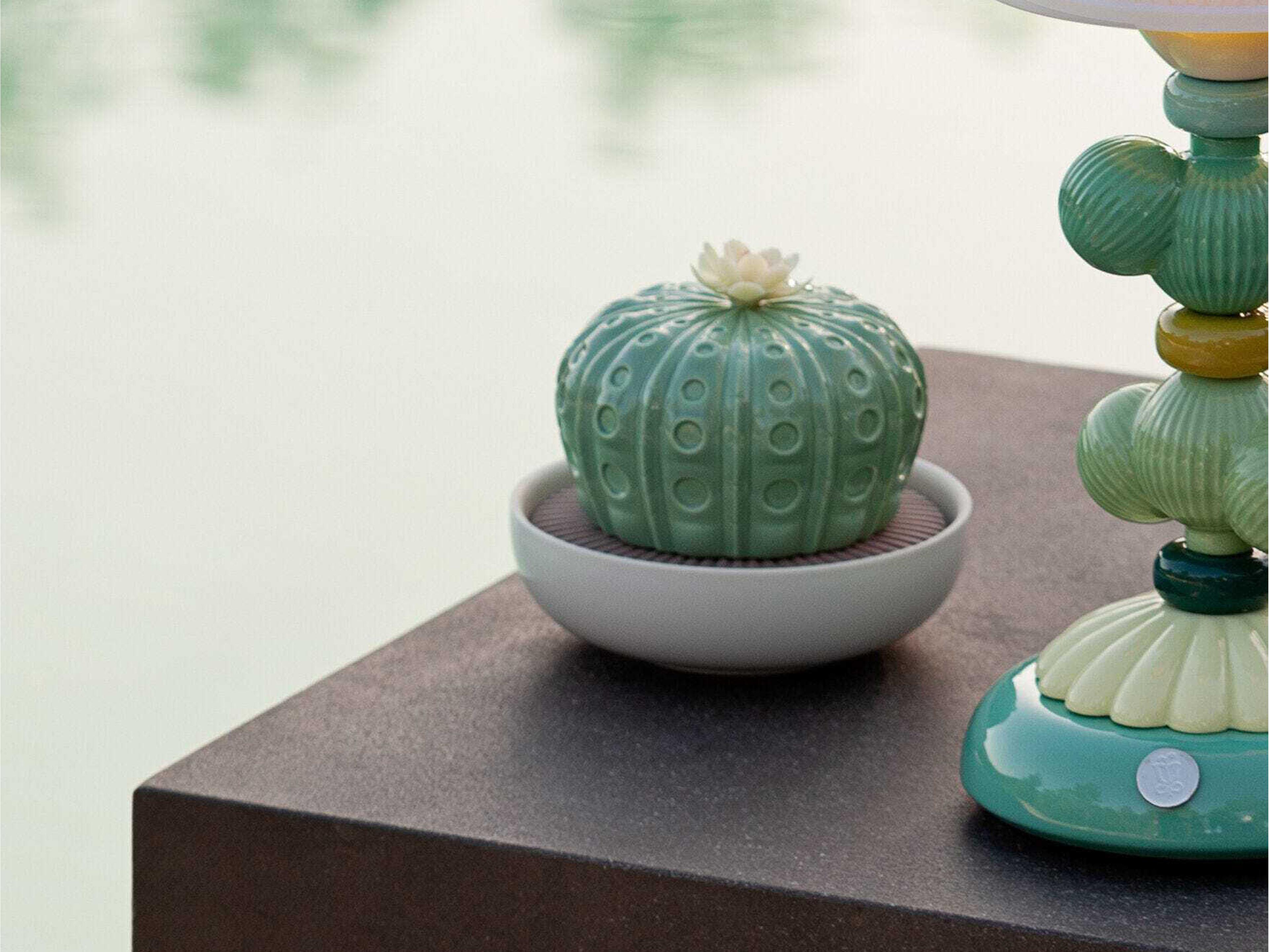 Lladro Astrophytum Cactus Diffuser