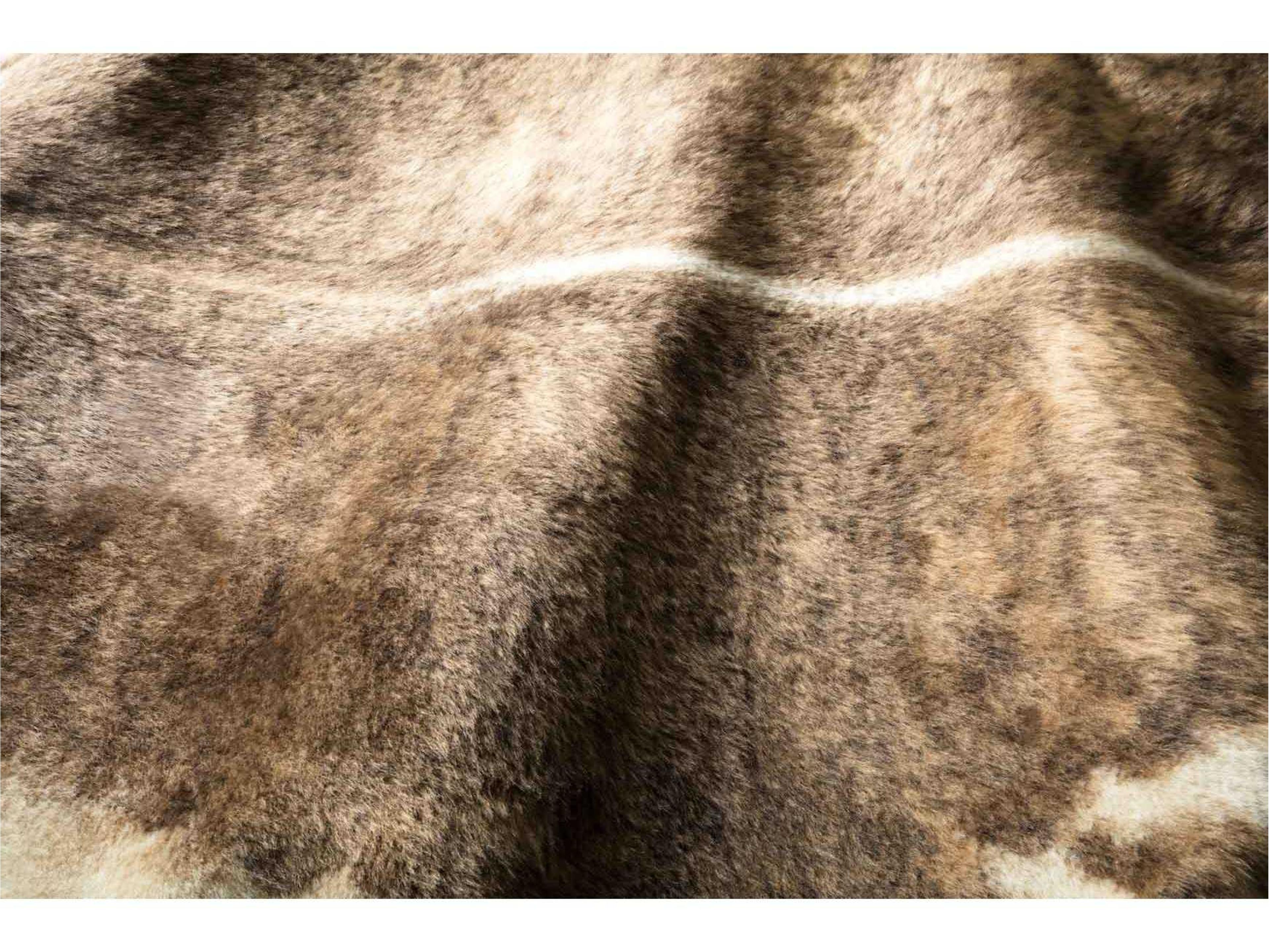 Loloi Rugs Grand Canyon Animal Prints Area Rug