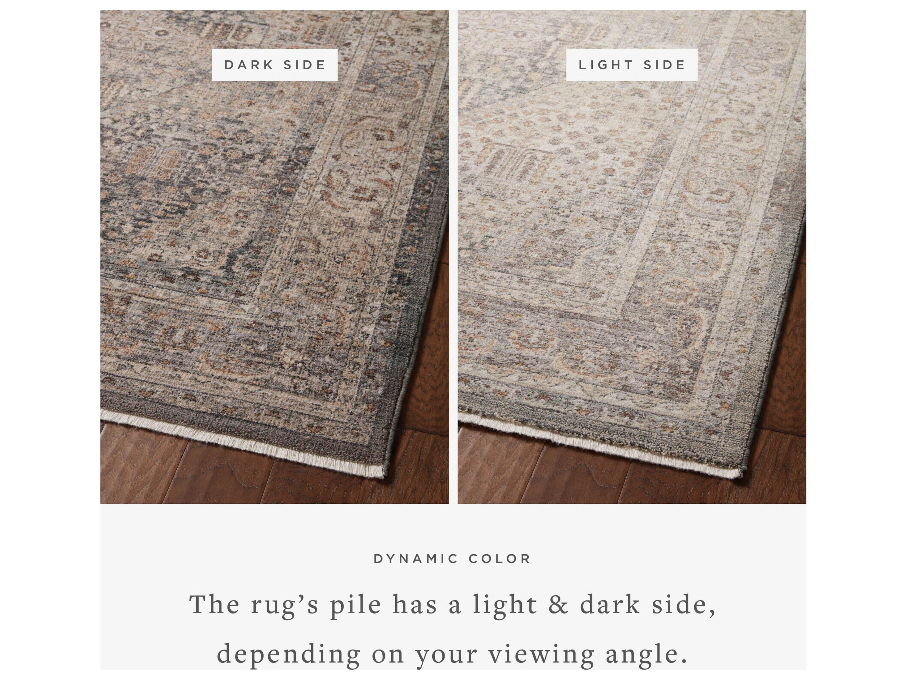 Loloi Rugs Lyra Bordered Area Rug