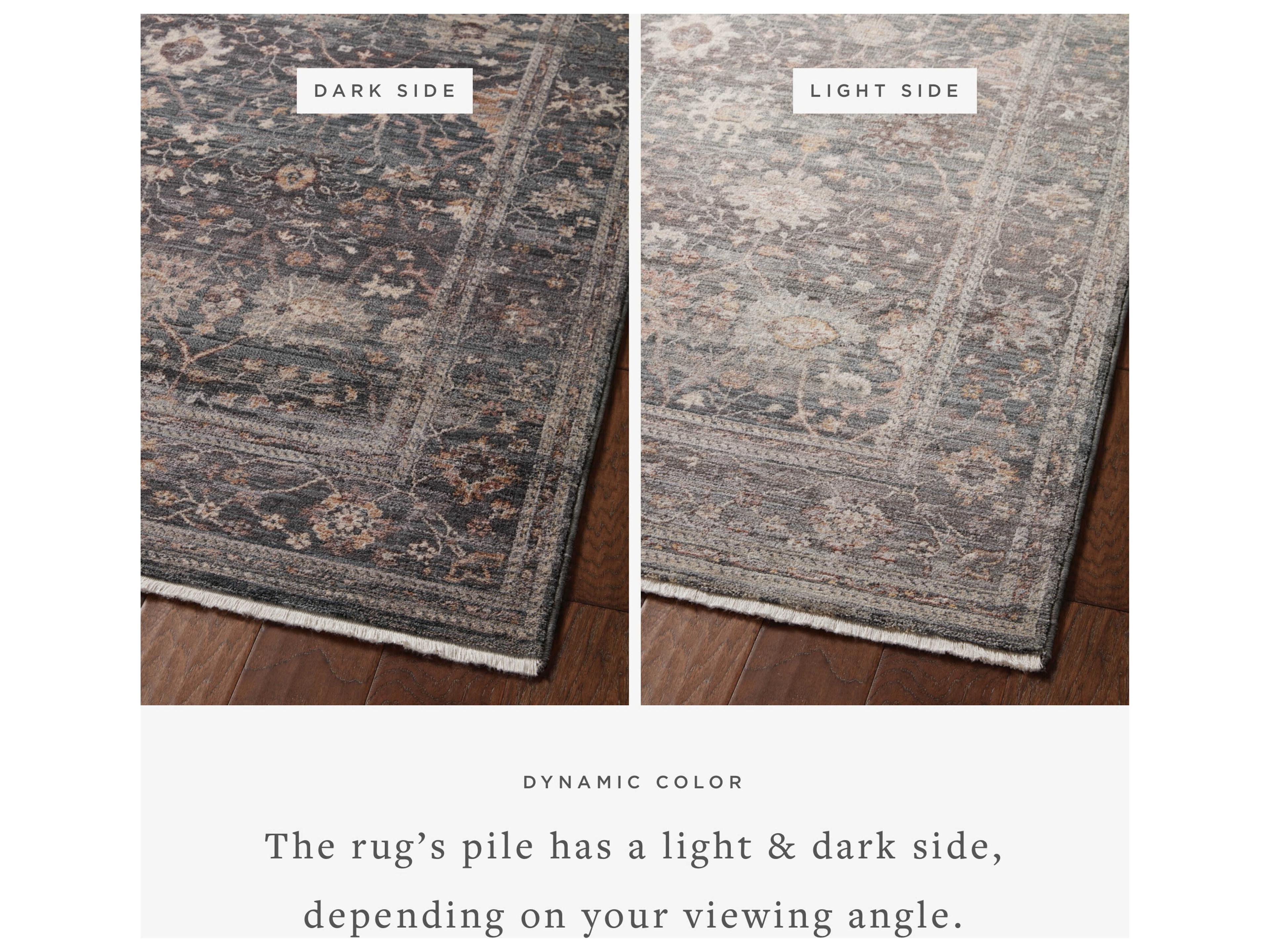 Loloi Rugs Lyra Bordered Area Rug