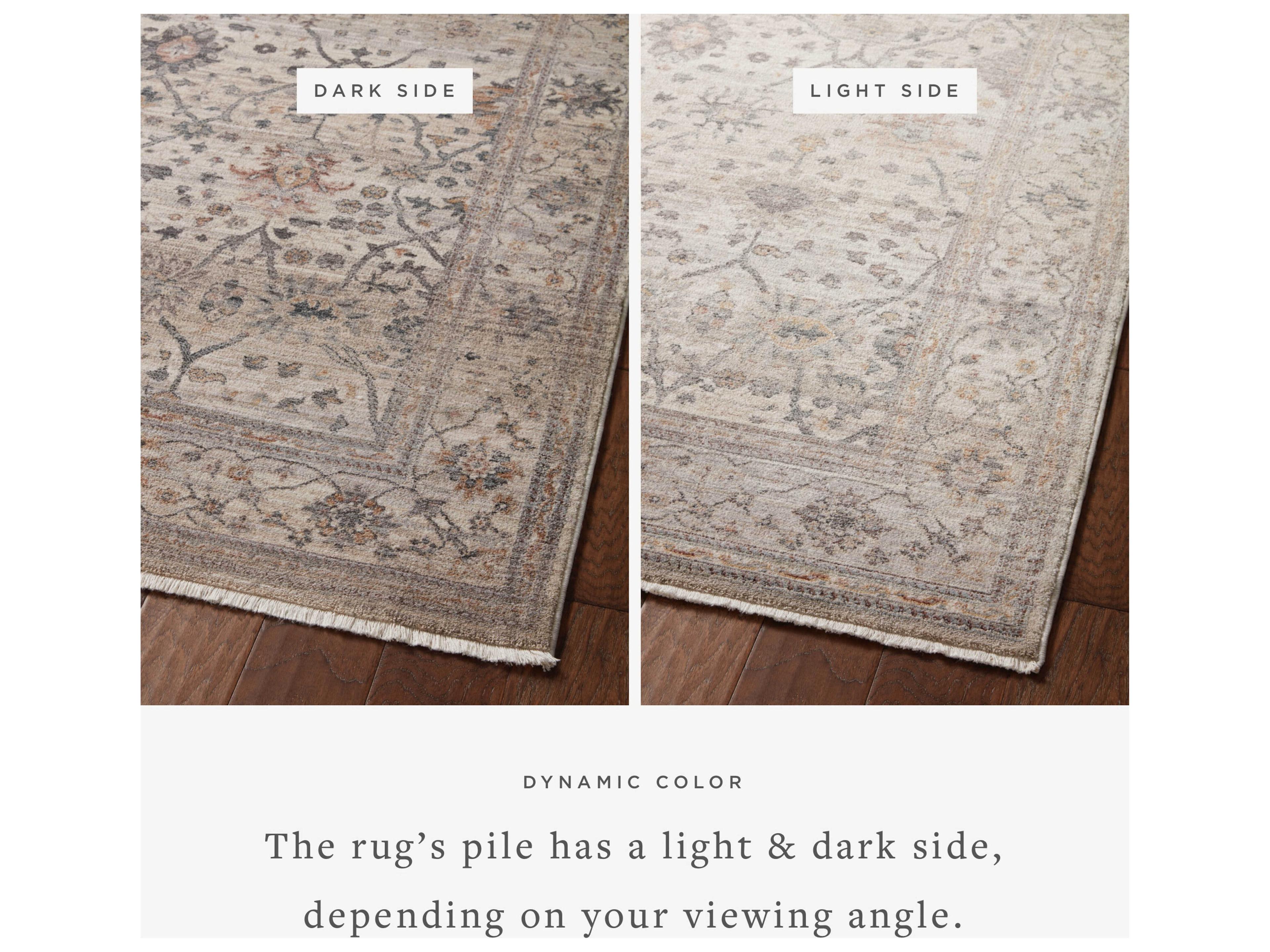Loloi Rugs Lyra Bordered Area Rug