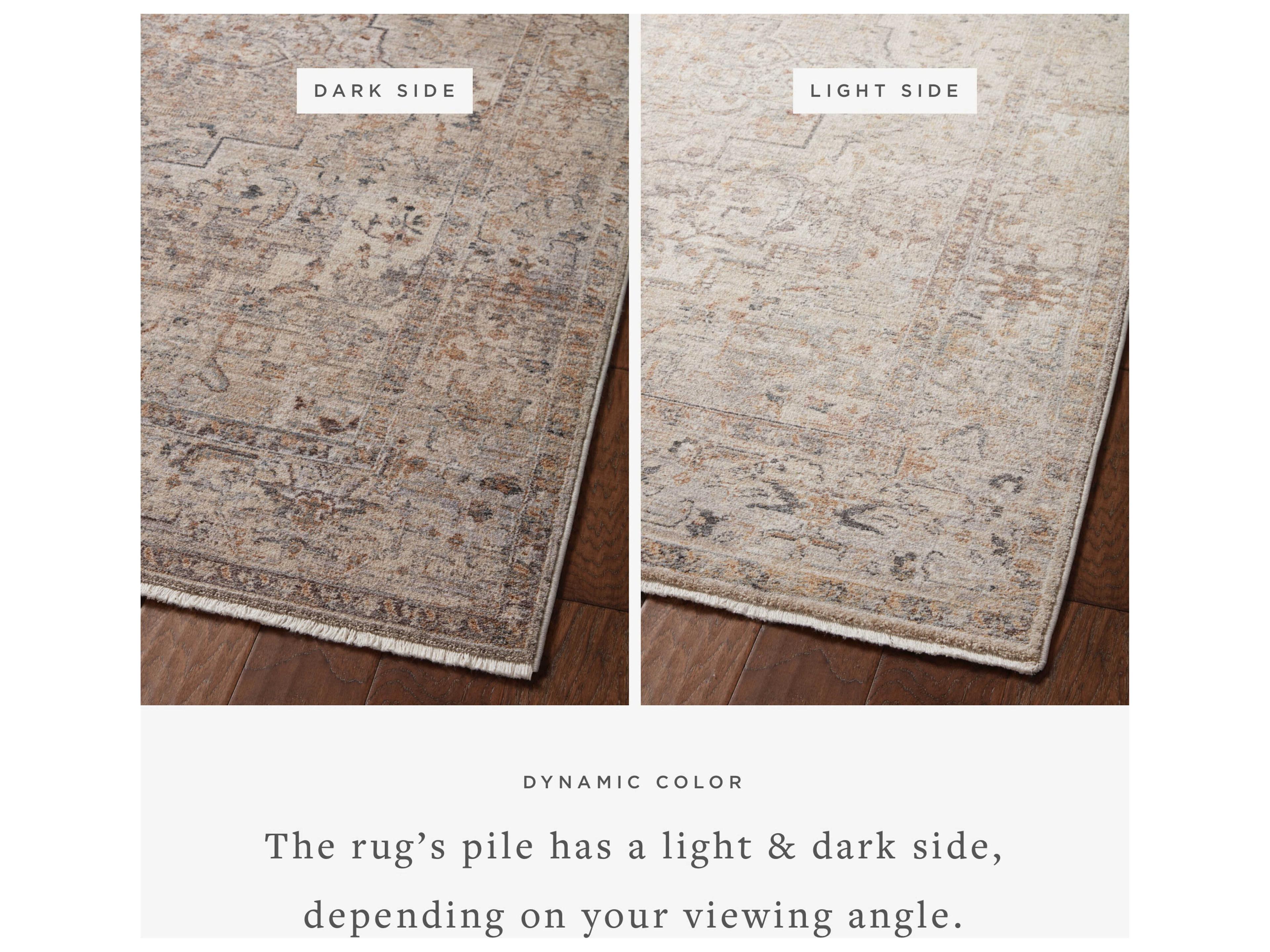 Loloi Rugs Lyra Bordered Area Rug
