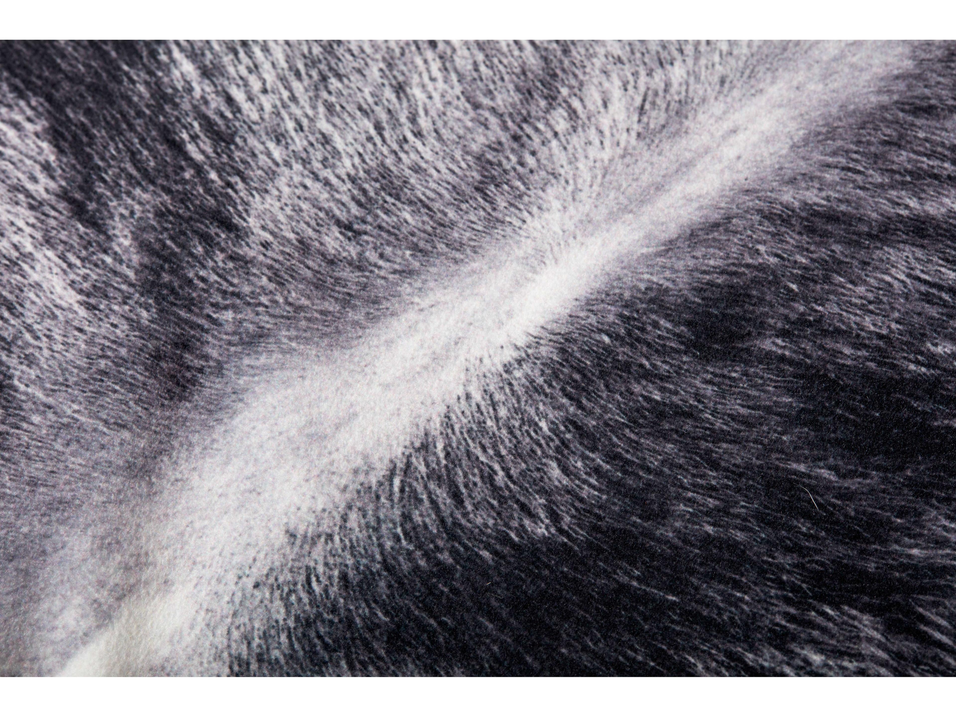 Loloi Rugs Charcoal Pillow