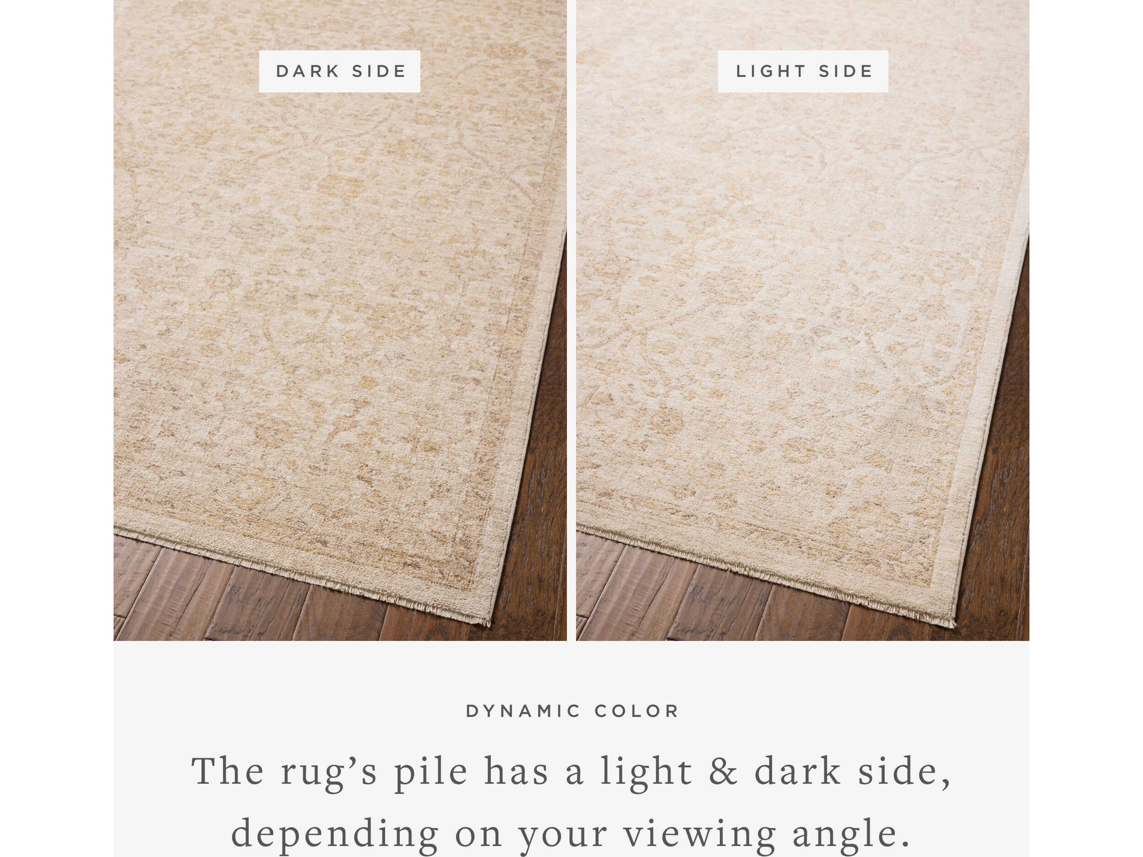 Loloi Rugs Chris Loves Julia Palma Oriental Runner Area Rug