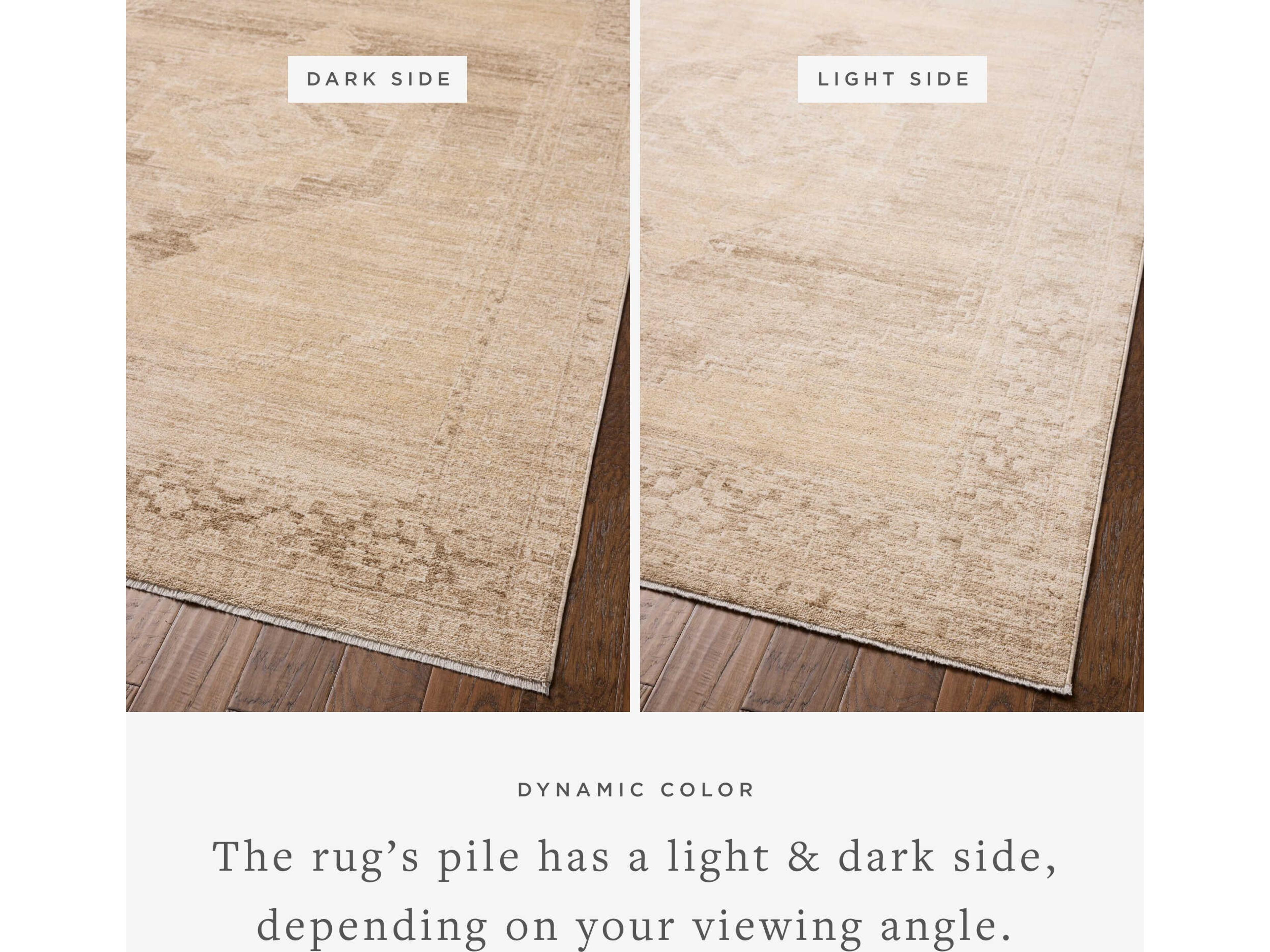 Loloi Rugs Chris Loves Julia Palma Oriental Runner Area Rug