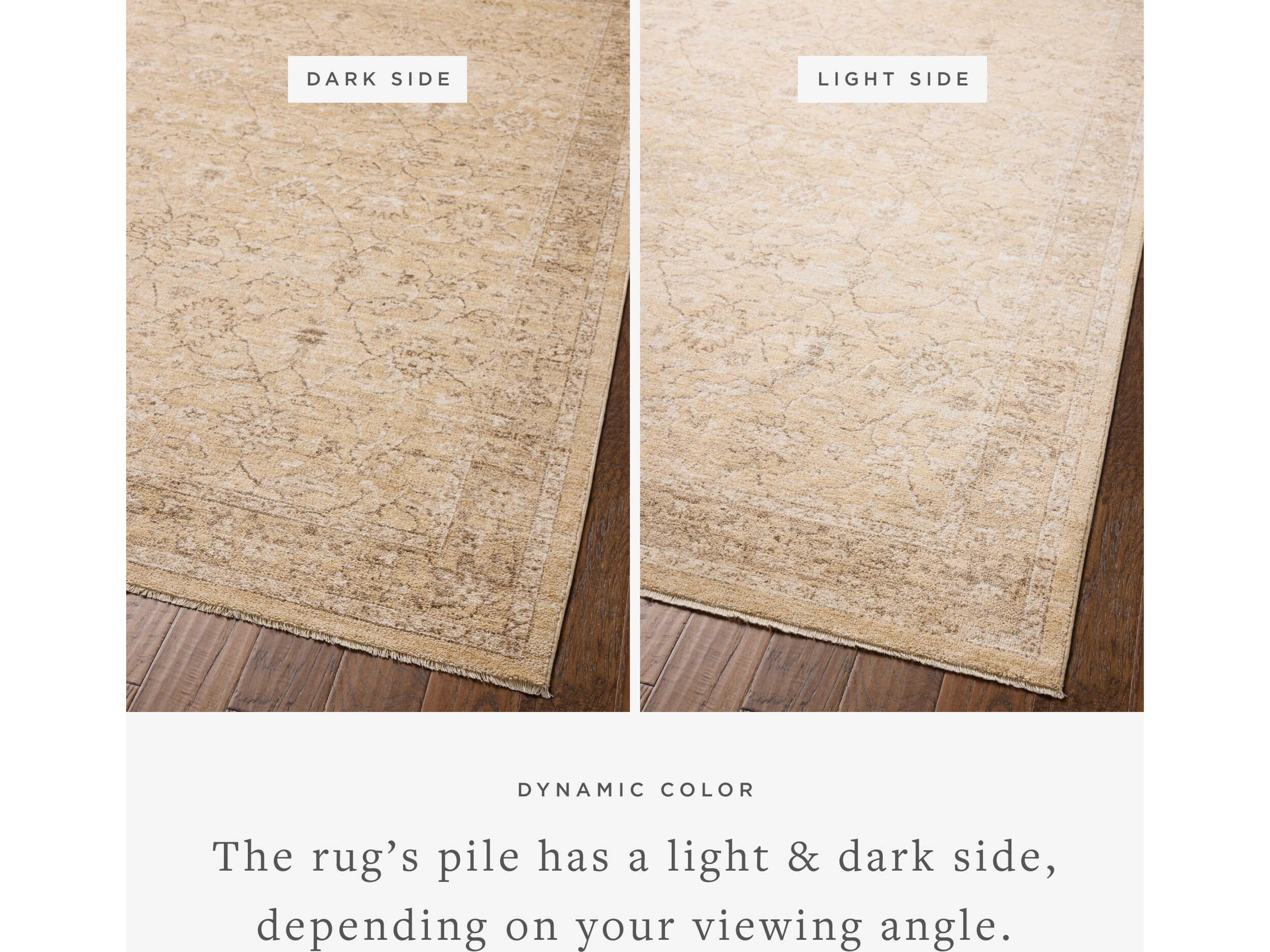 Loloi Rugs Chris Loves Julia Palma Oriental Runner Area Rug