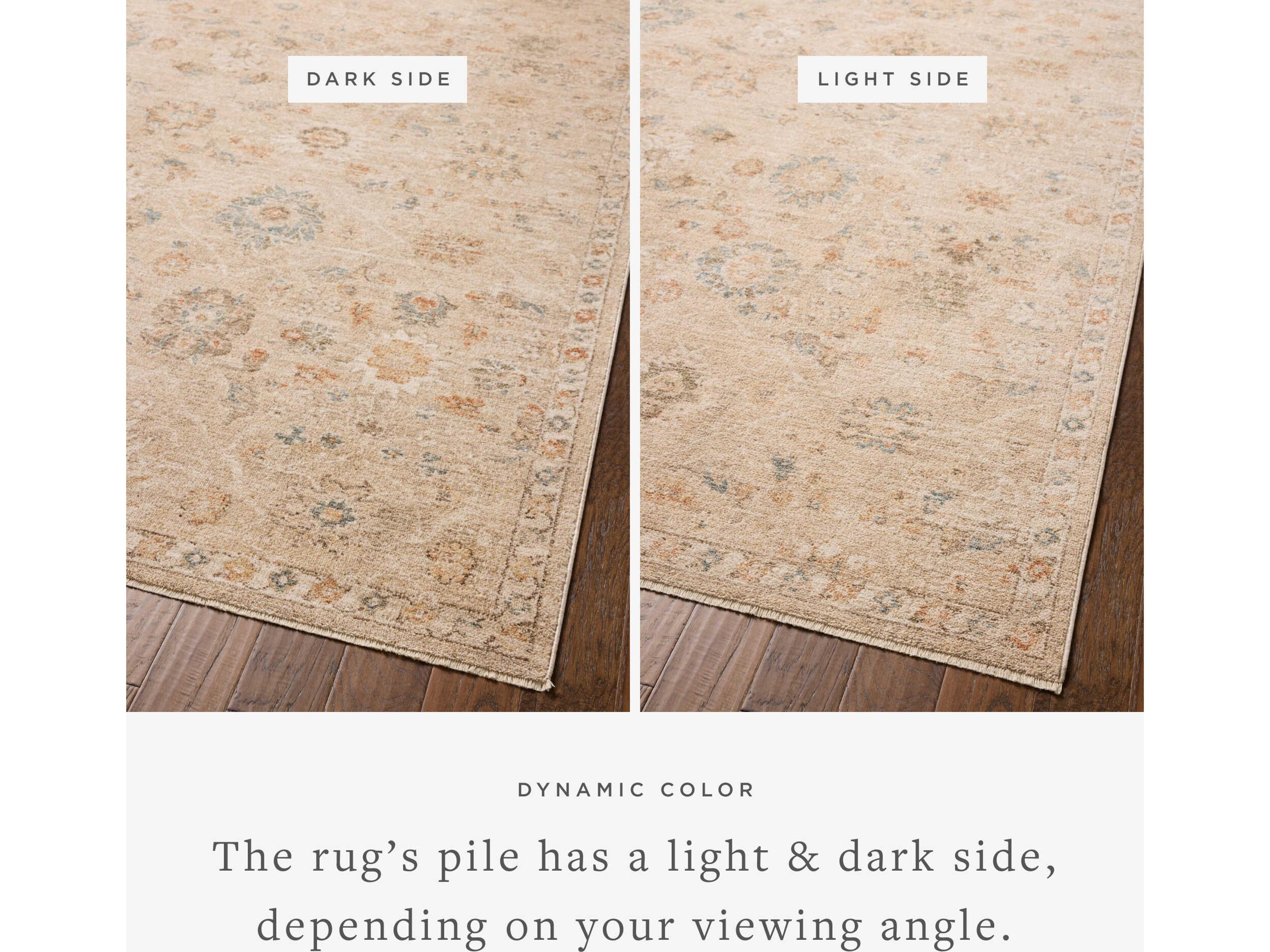 Loloi Rugs Chris Loves Julia Palma Oriental Runner Area Rug