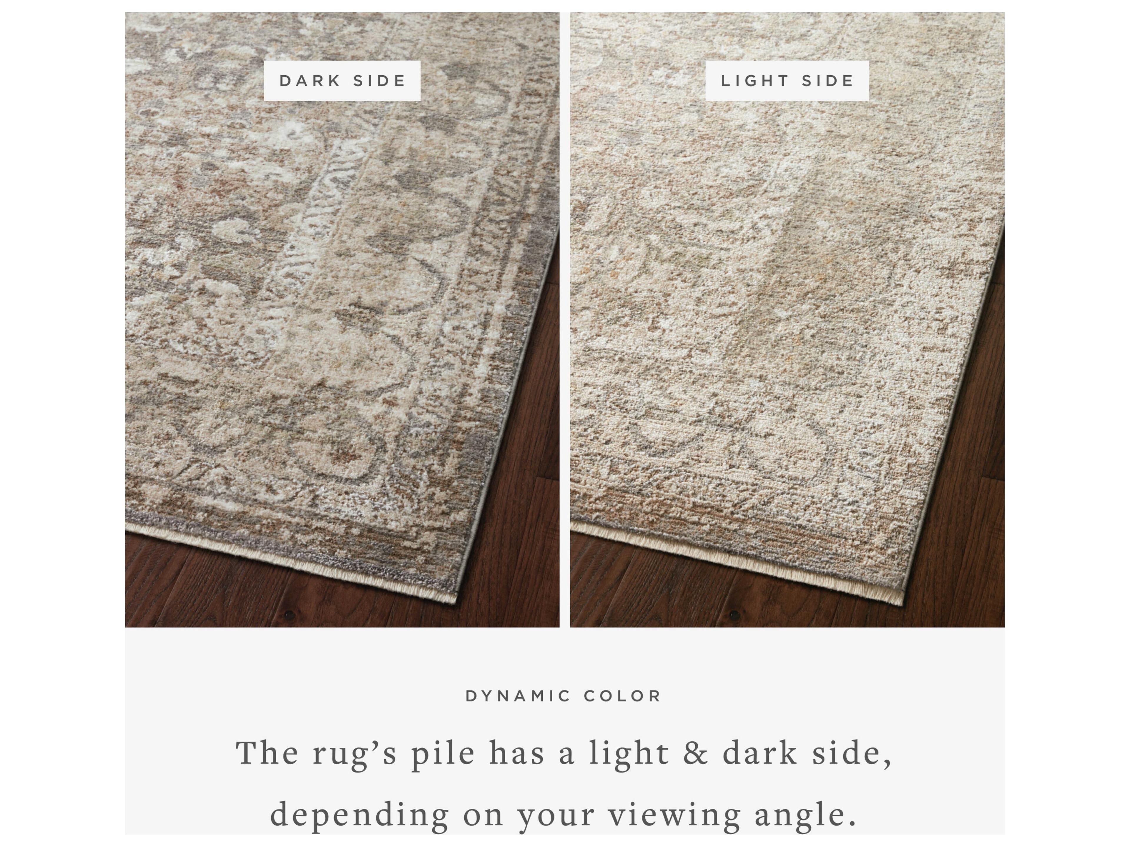 Loloi Rugs Sonnet Bordered Area Rug