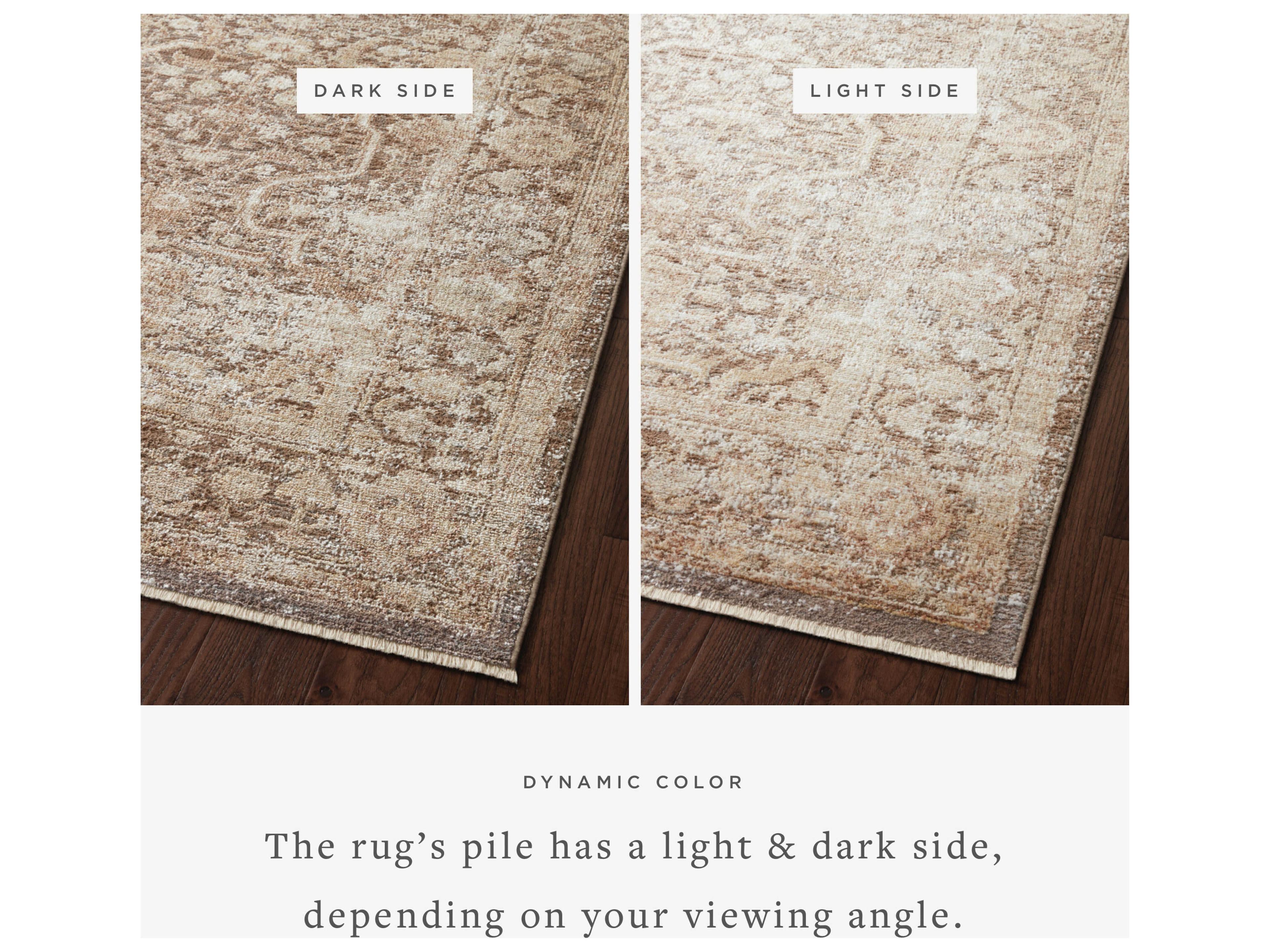Loloi Rugs Sonnet Bordered Area Rug