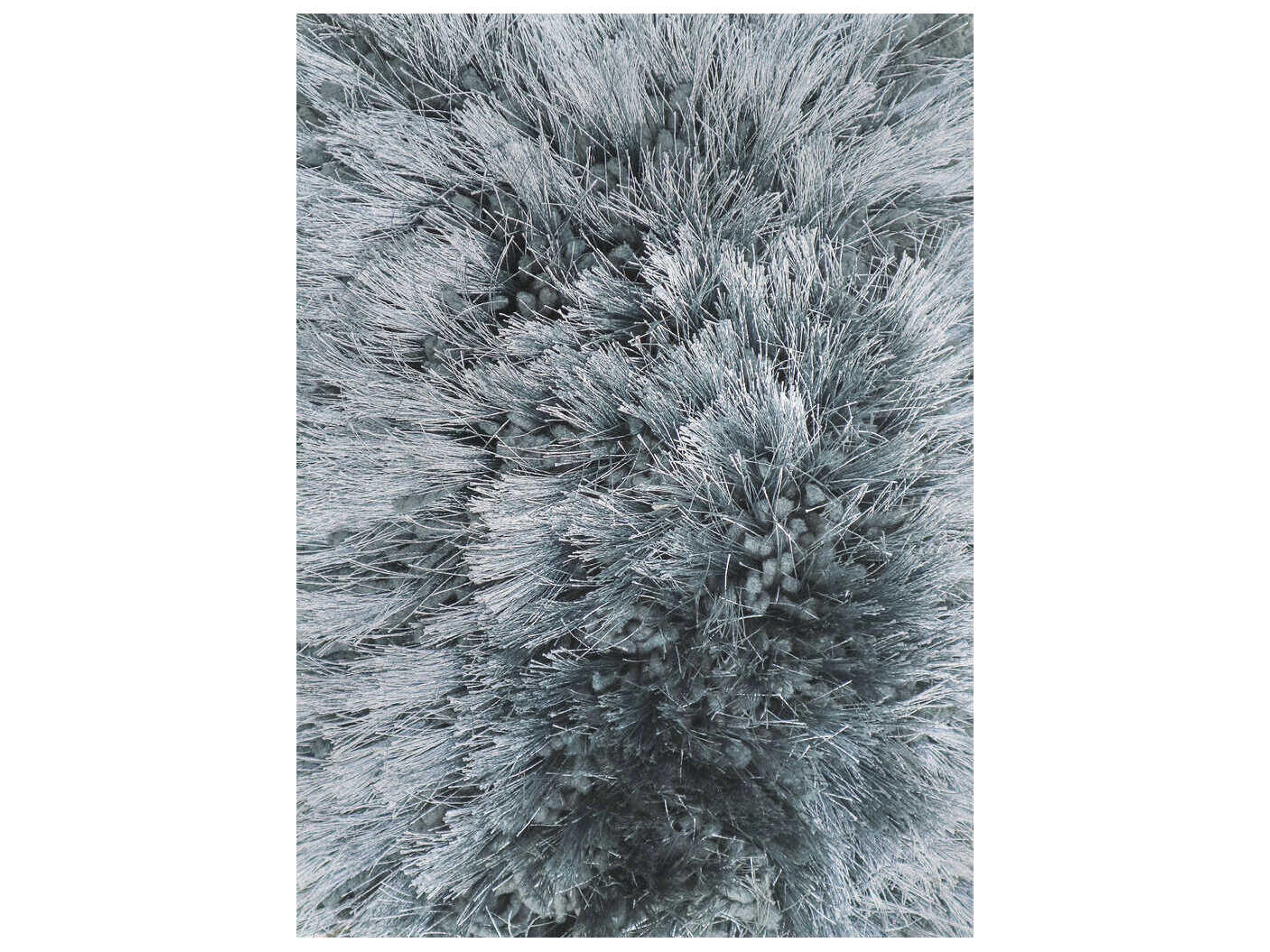 Ligne Pure Adore Area Rug