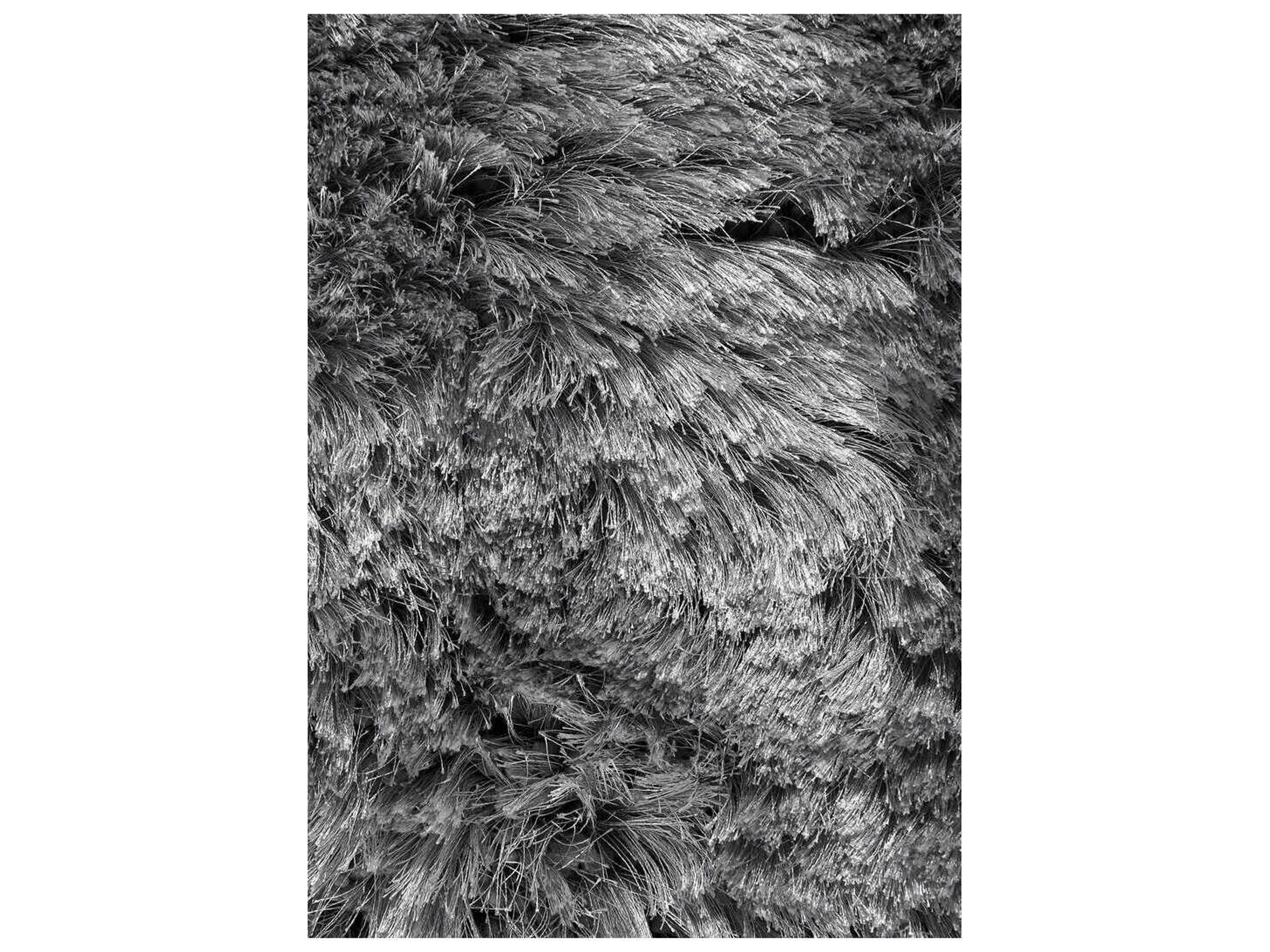 Ligne Pure Adore Shag Area Rug