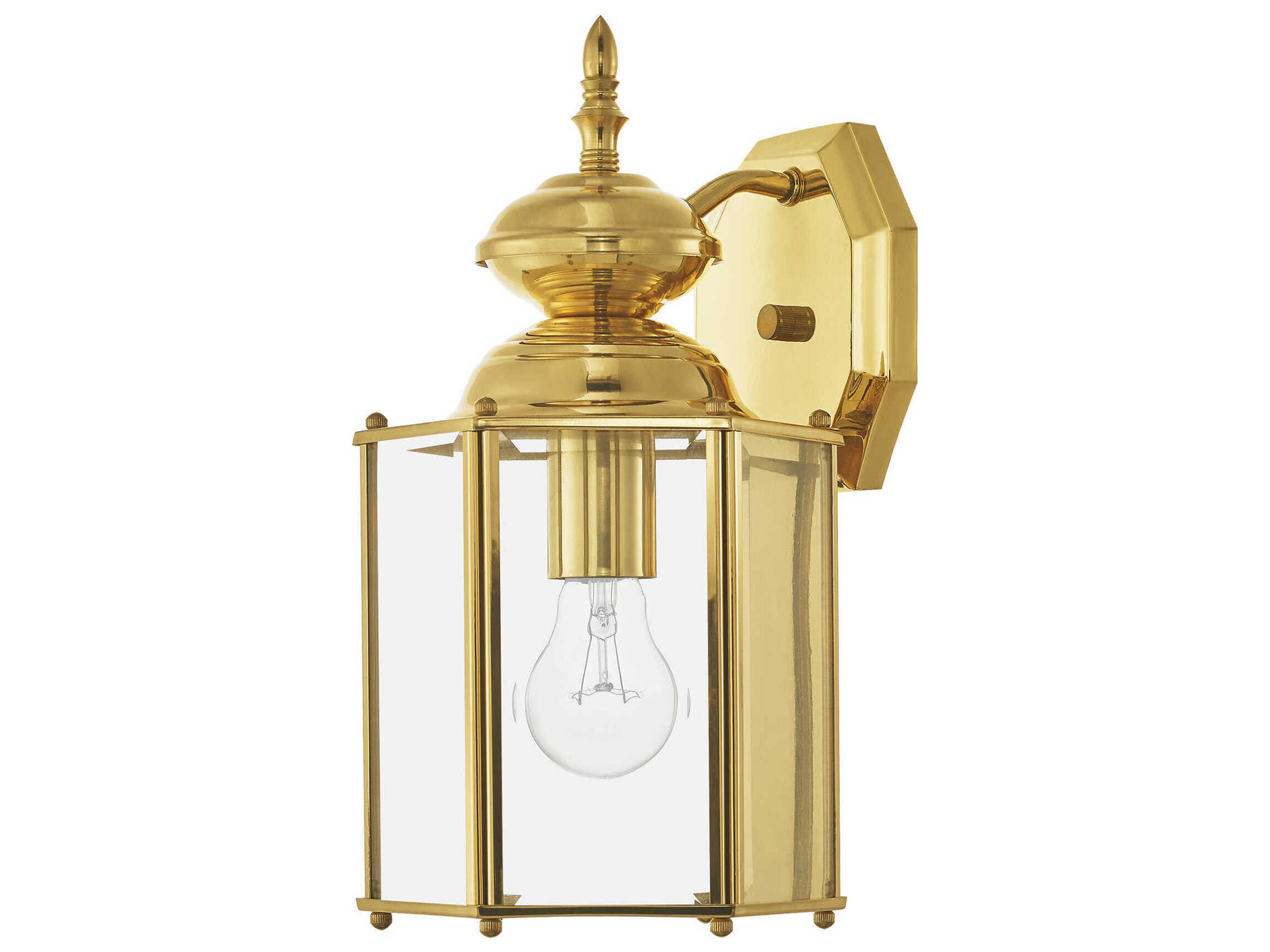 Livex Lighting Outdoor Basics 1 - Light Wall Light