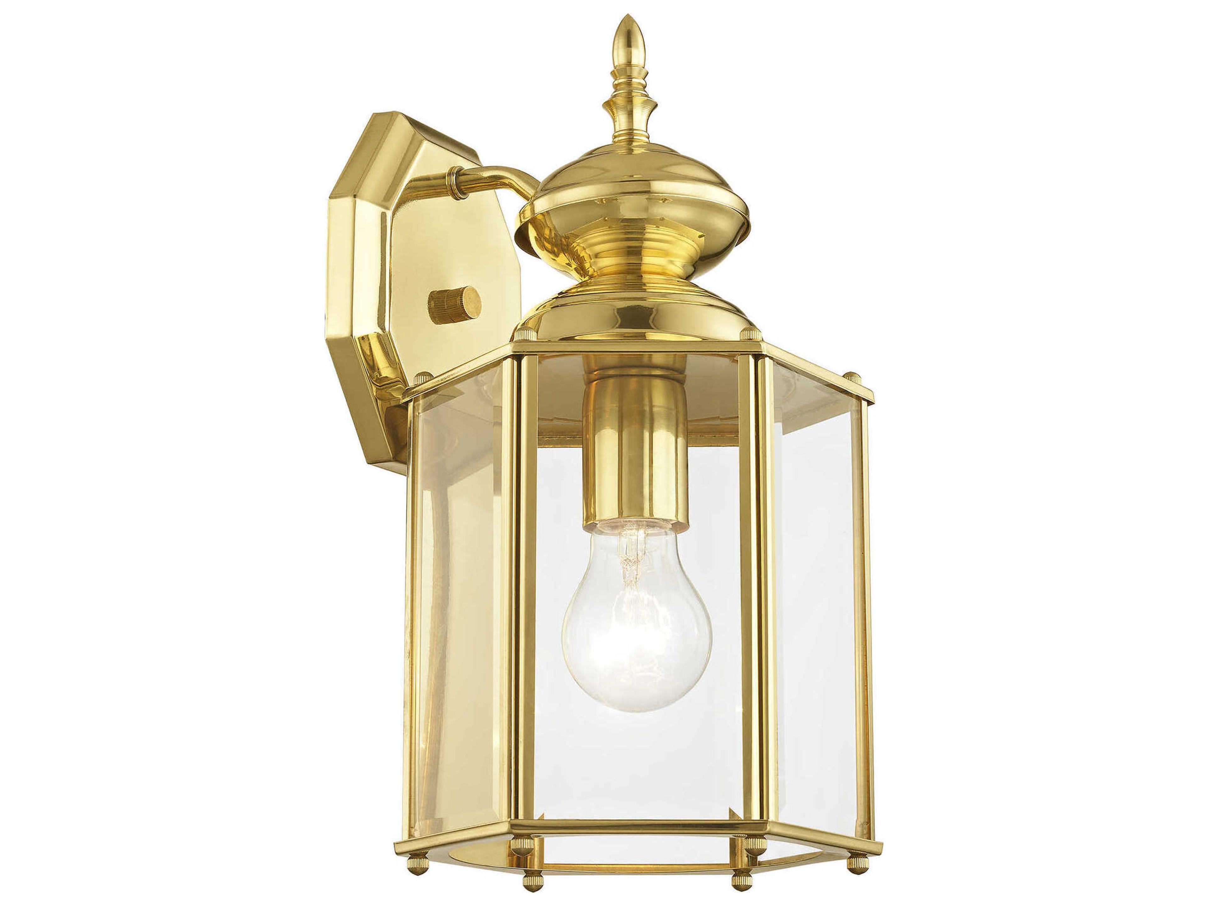 Livex Lighting Outdoor Basics 1 - Light Wall Light