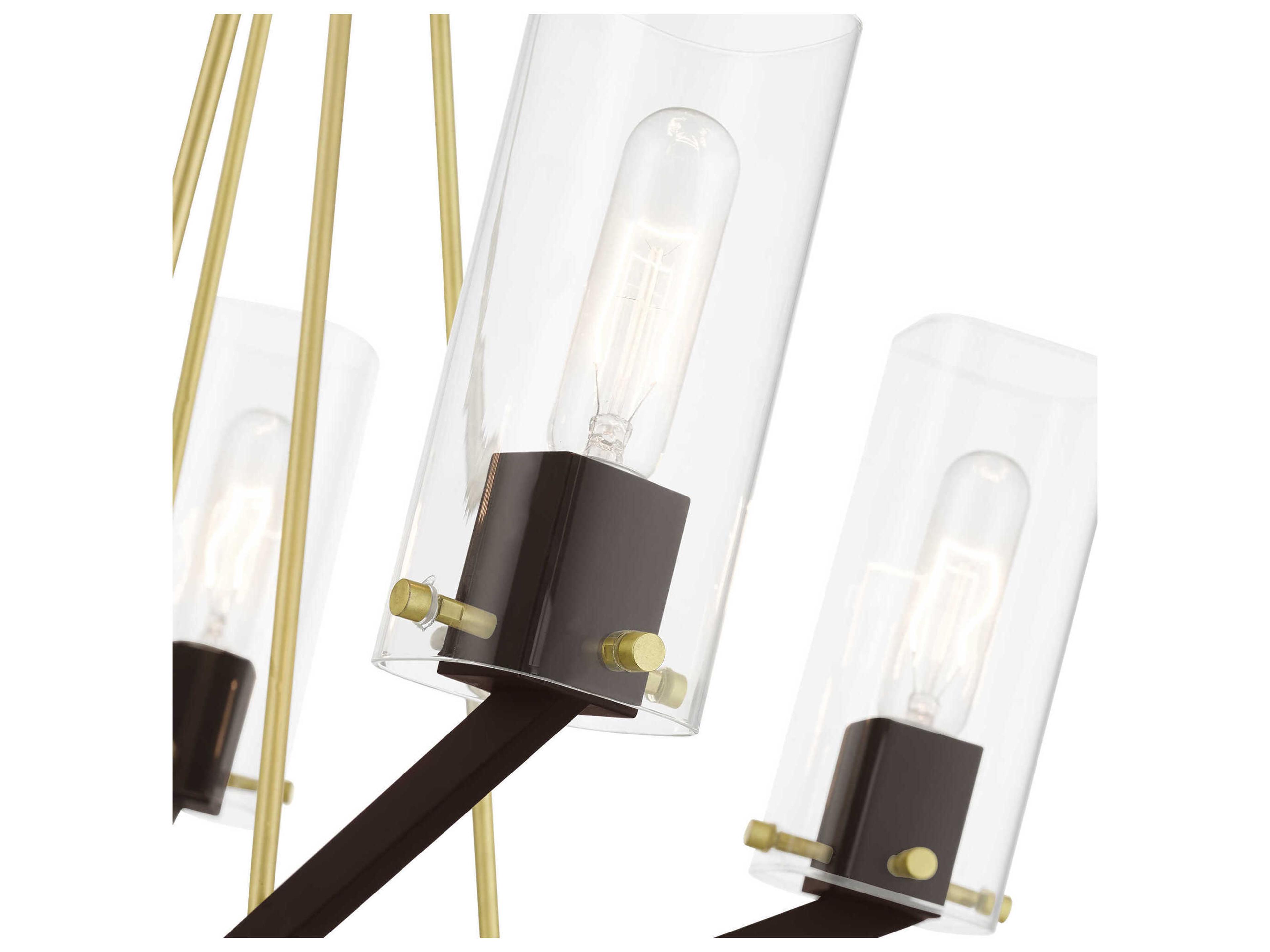 Livex Lighting Beckett 5-Light Satin Brass Bronze Glass Cylinder Chandelier