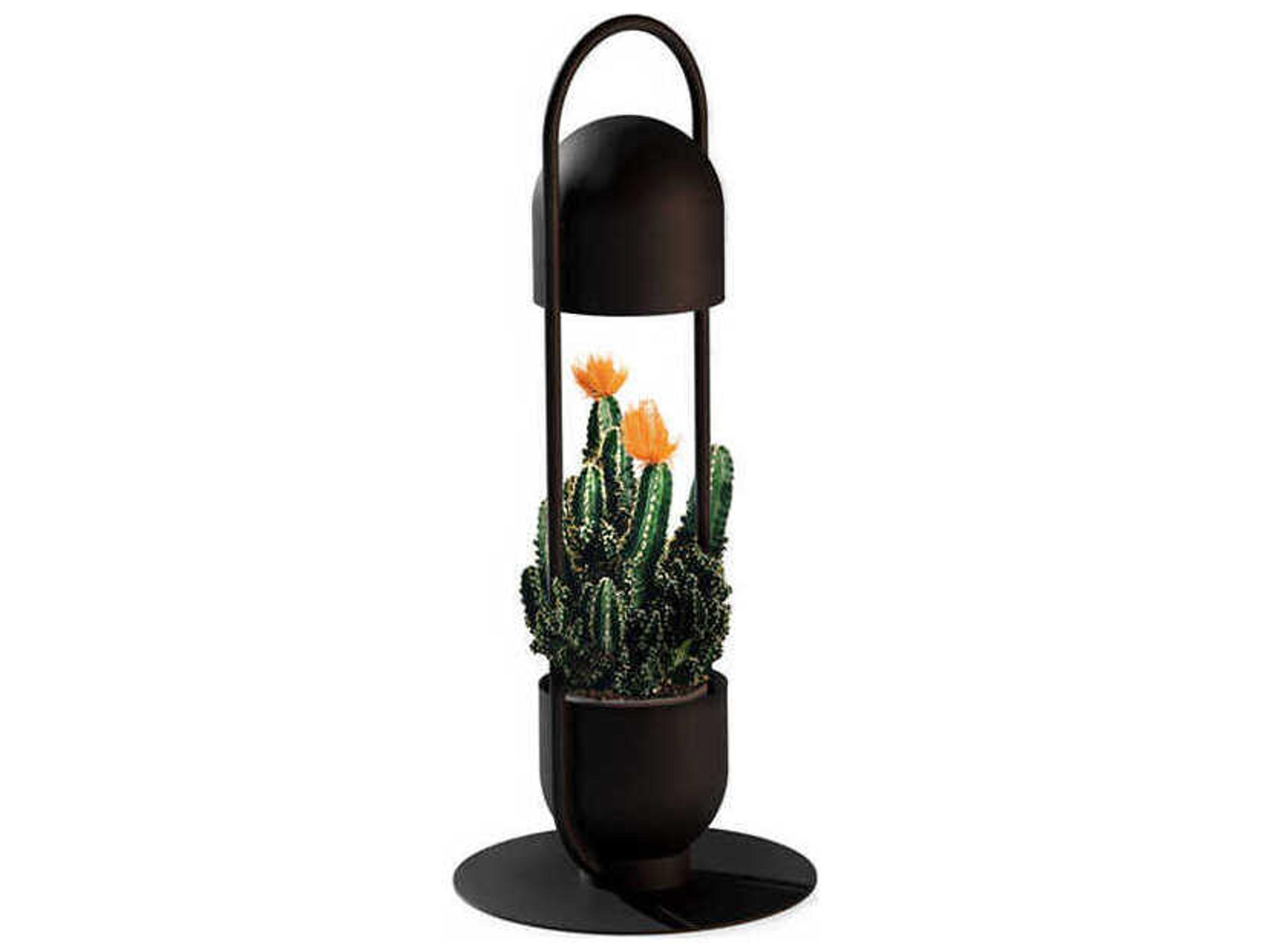 Luxcambra Oxygen Black Table Lamp