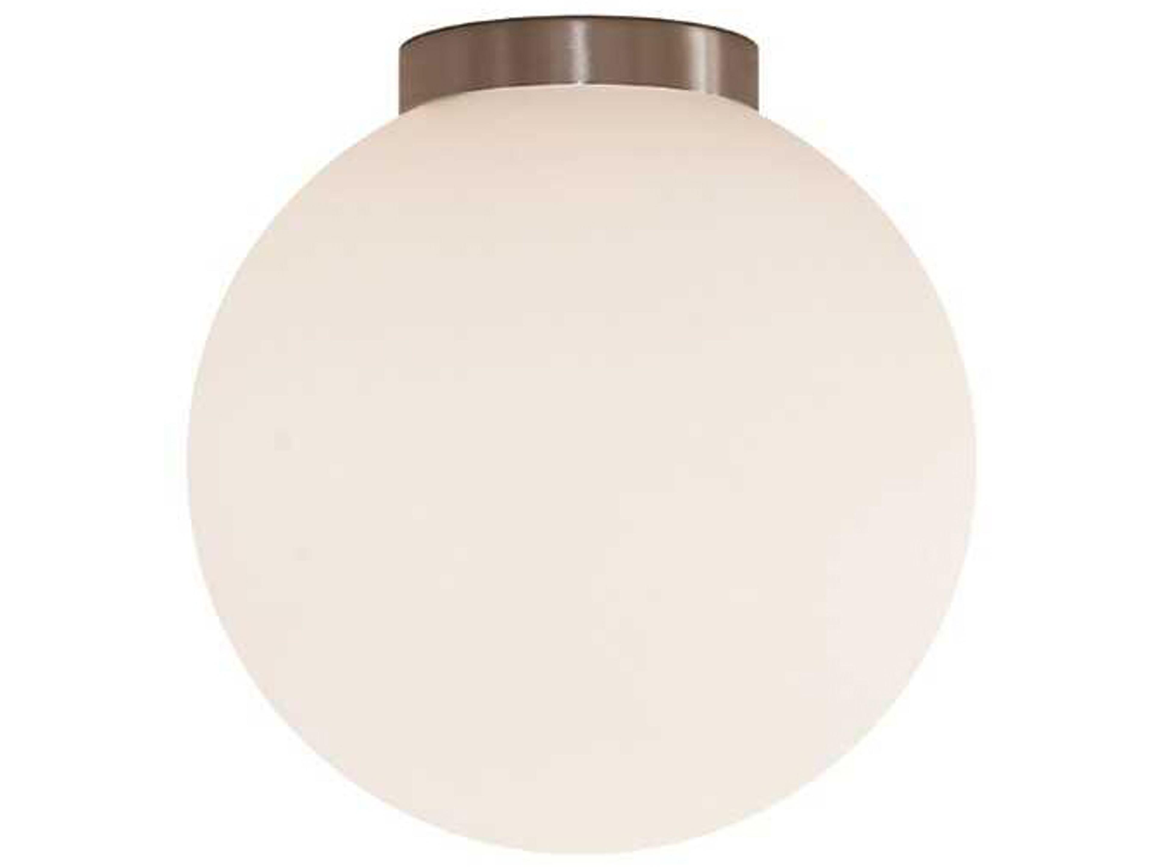 Moon 1-Light Silver Globe Flush Mount