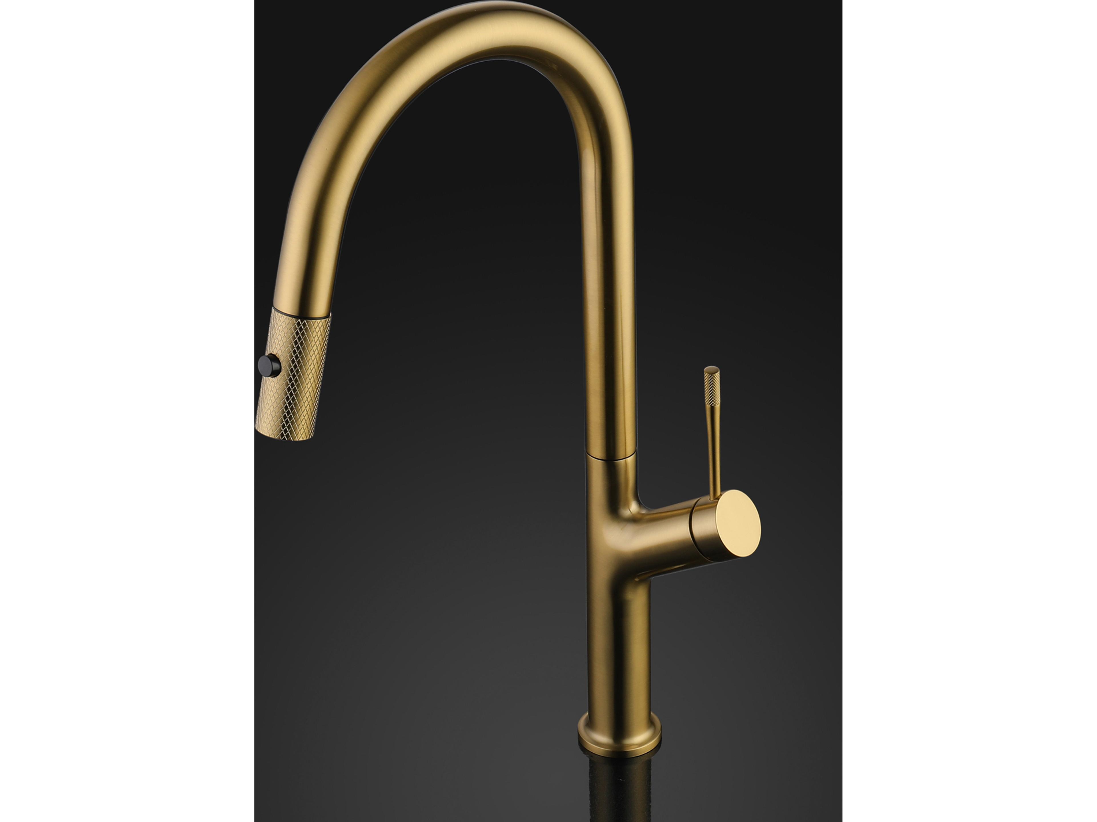 Maestro BathEclissia Modern Kitchen Faucet with 2 Jets  Brushed Gold