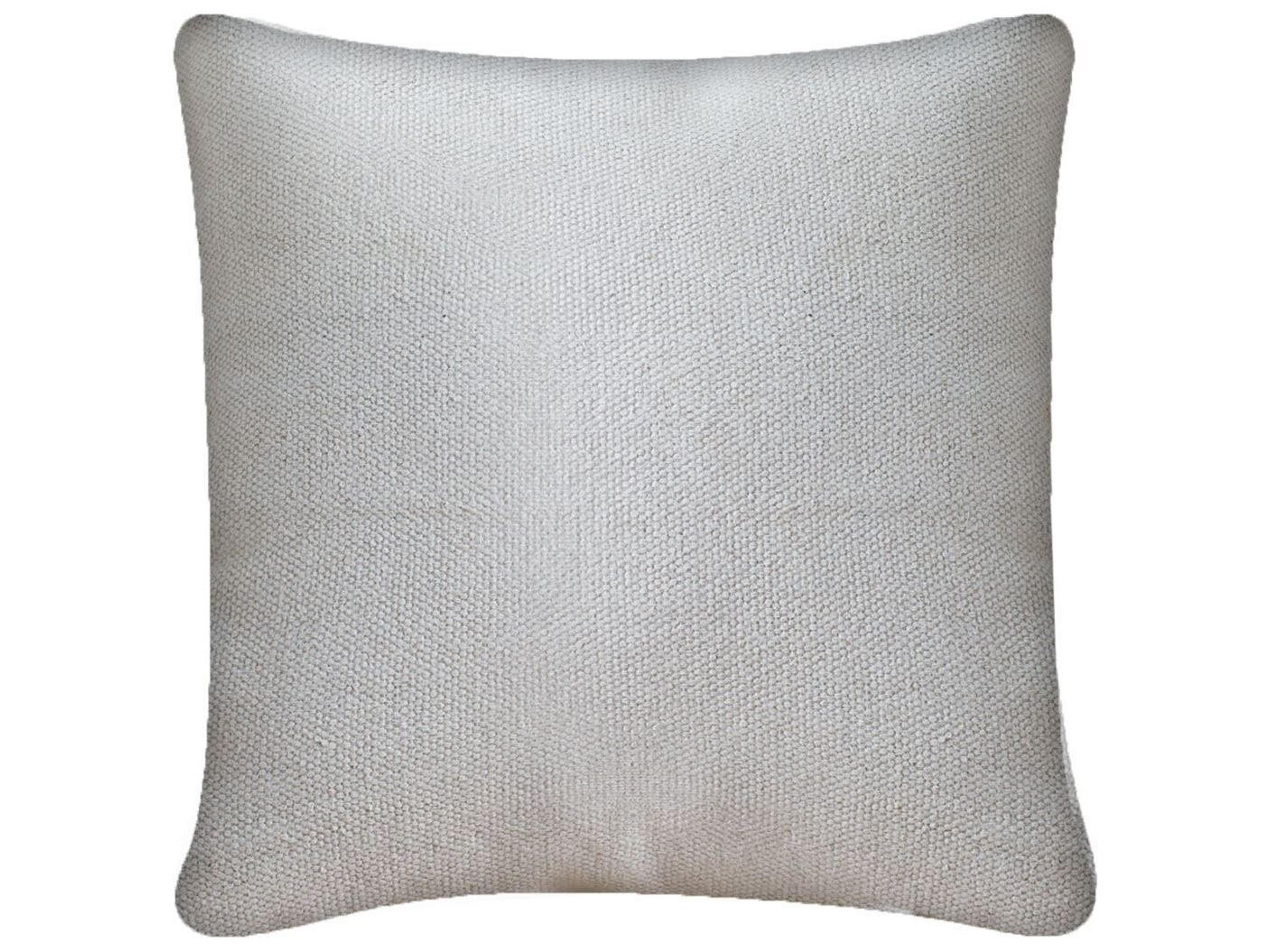 Laneus III 22 x 22 Cream Decorative Pillow Cover