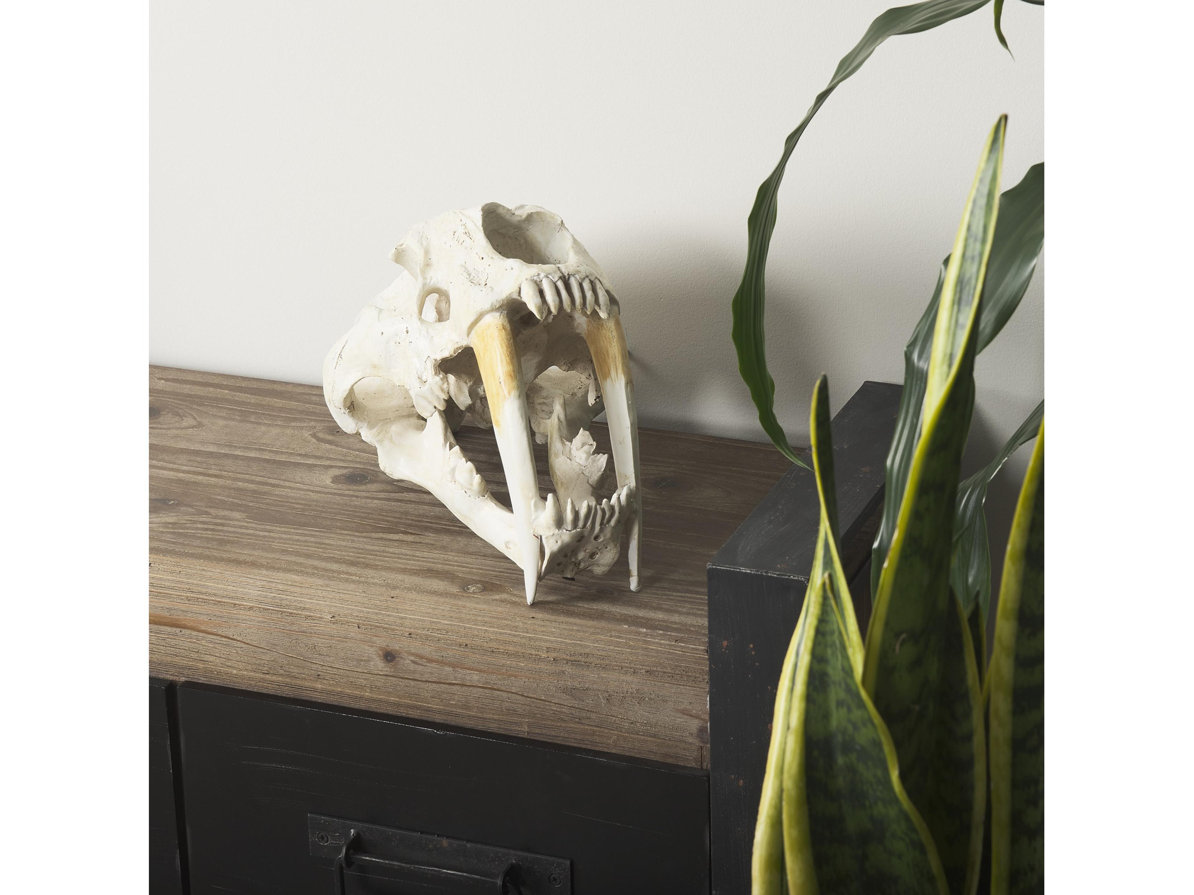 Mercana Fozzil 9L x 9W Resin Sabretooth Skull Replica