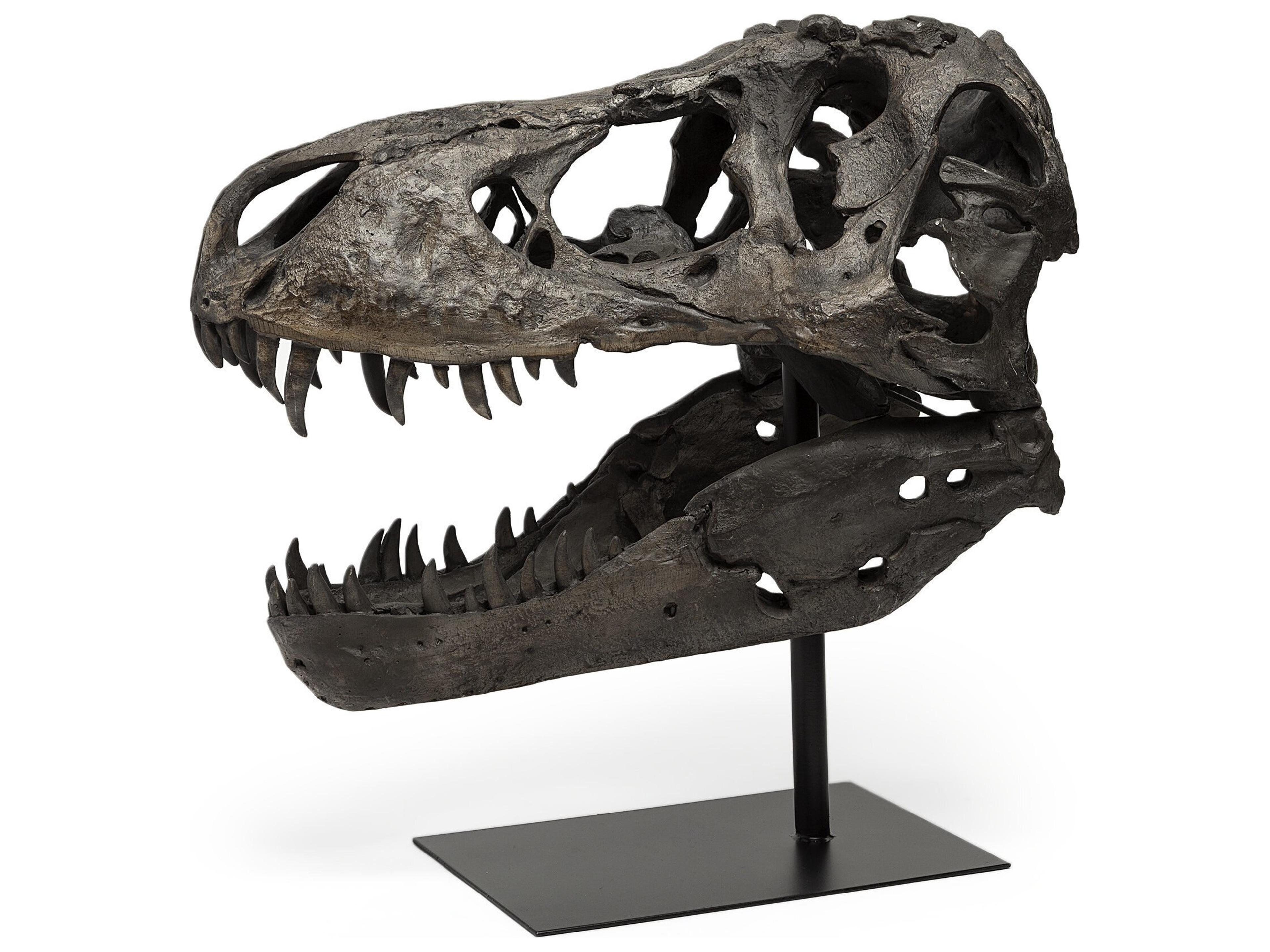 Lagrane 19L x 11W Brown Resin Tyrannosaurus T Rex Dinosaur Skull Replica