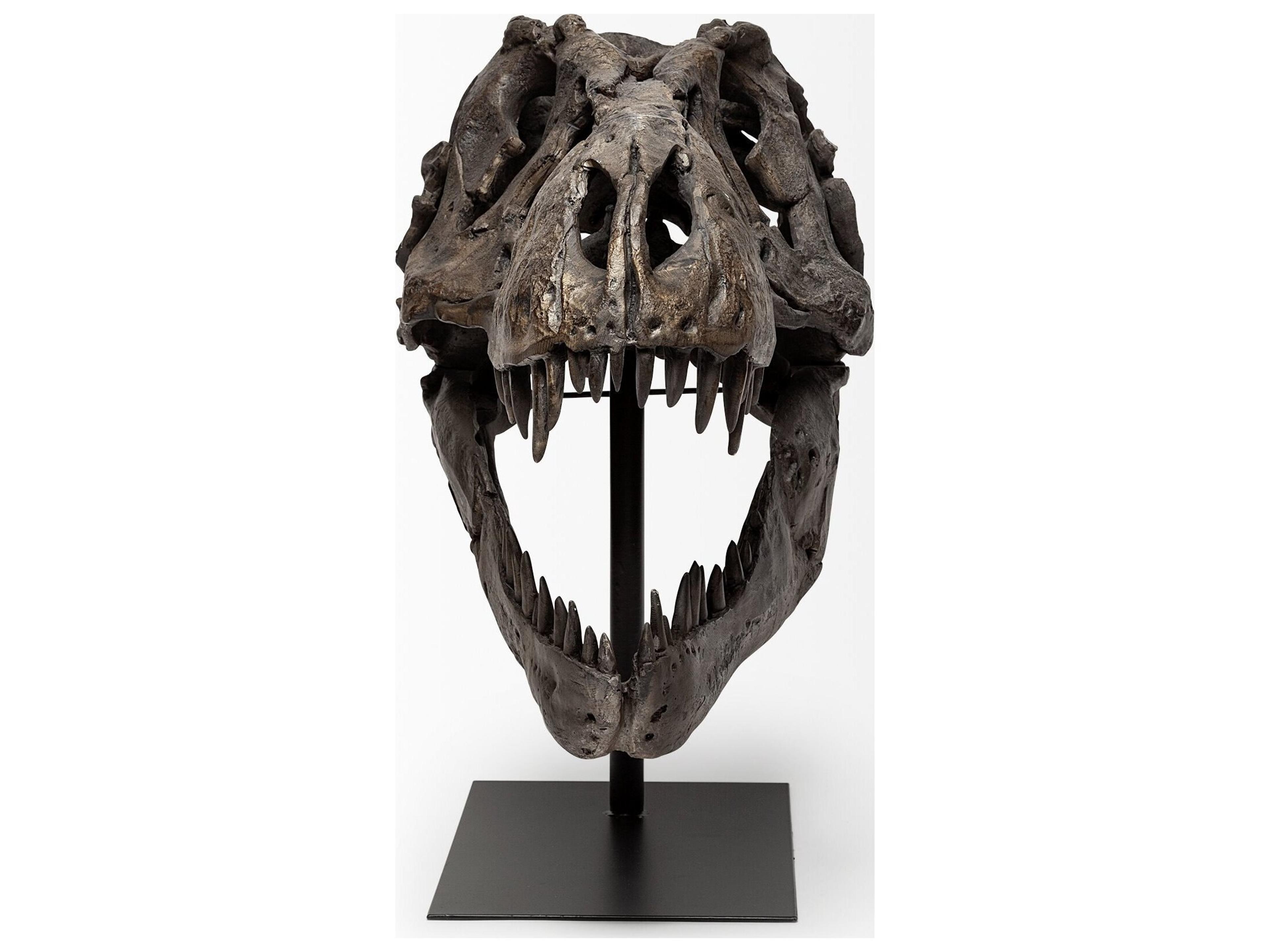 Mercana Lagrane 19L x 11W Brown Resin Tyrannosaurus T Rex Dinosaur Skull Replica