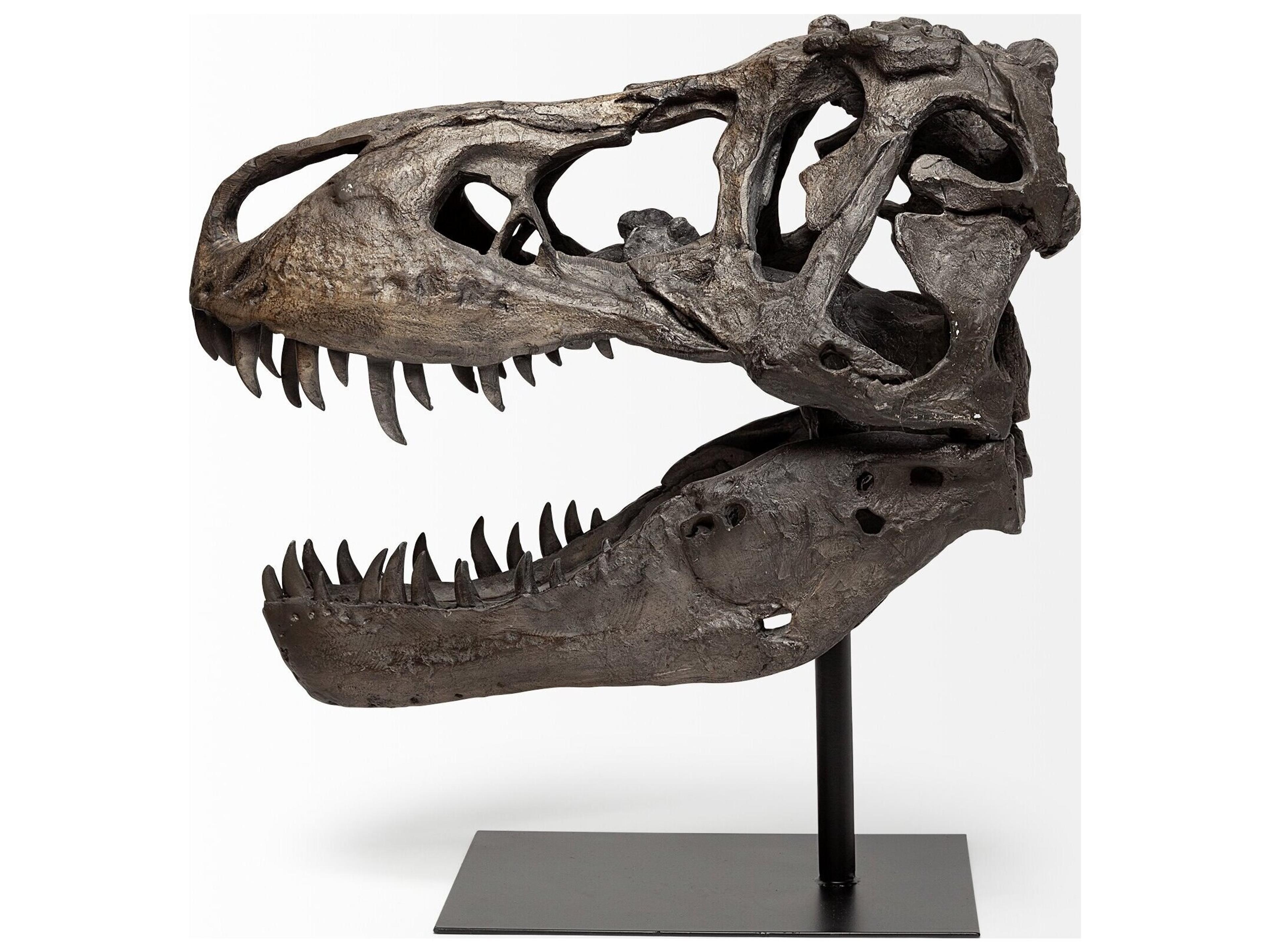 Mercana Lagrane 19L x 11W Brown Resin Tyrannosaurus T Rex Dinosaur Skull Replica