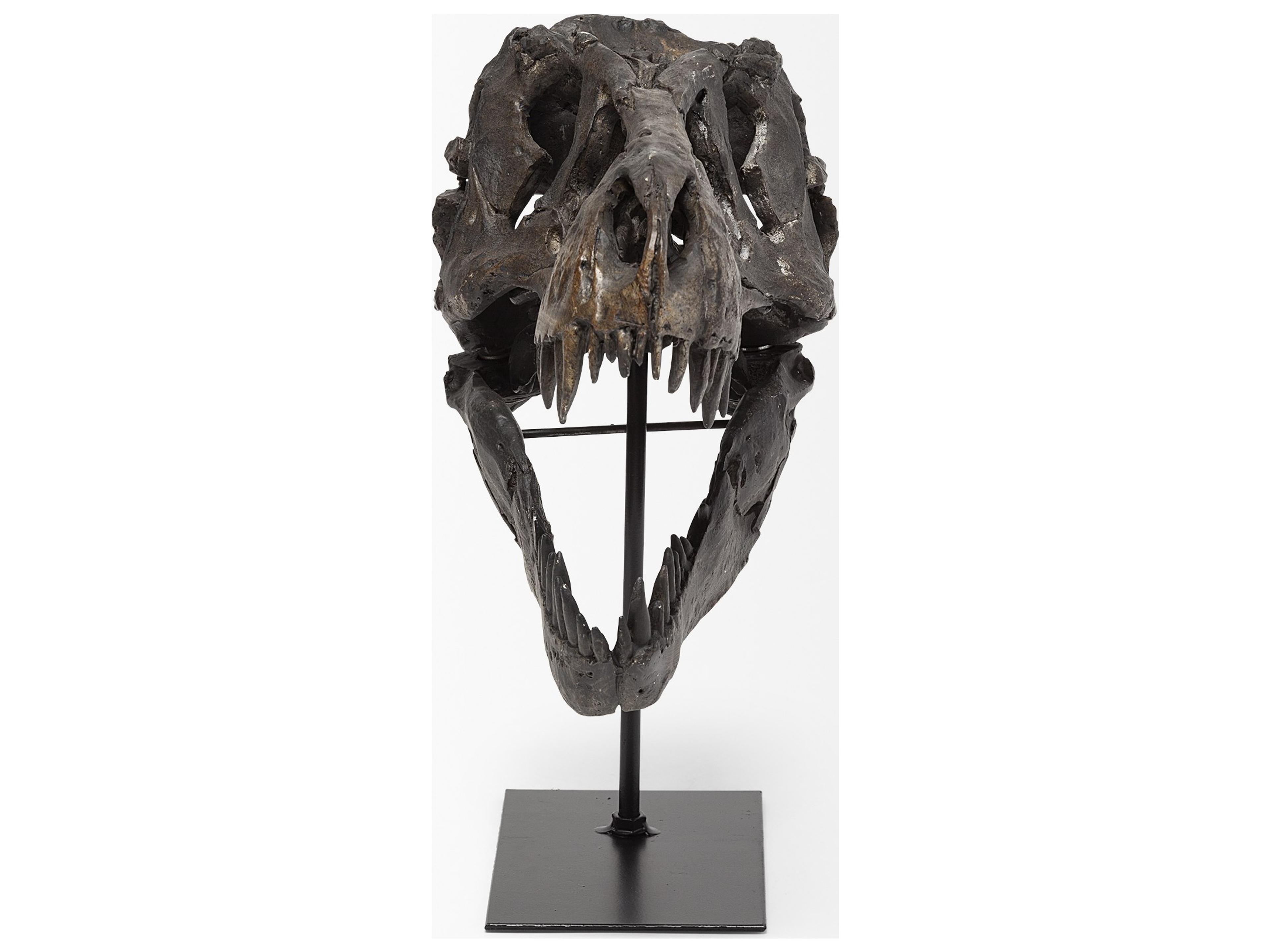 Mercana Jurassic 6L x 10W Brown Resin Tyrannosaurus Skull Replica