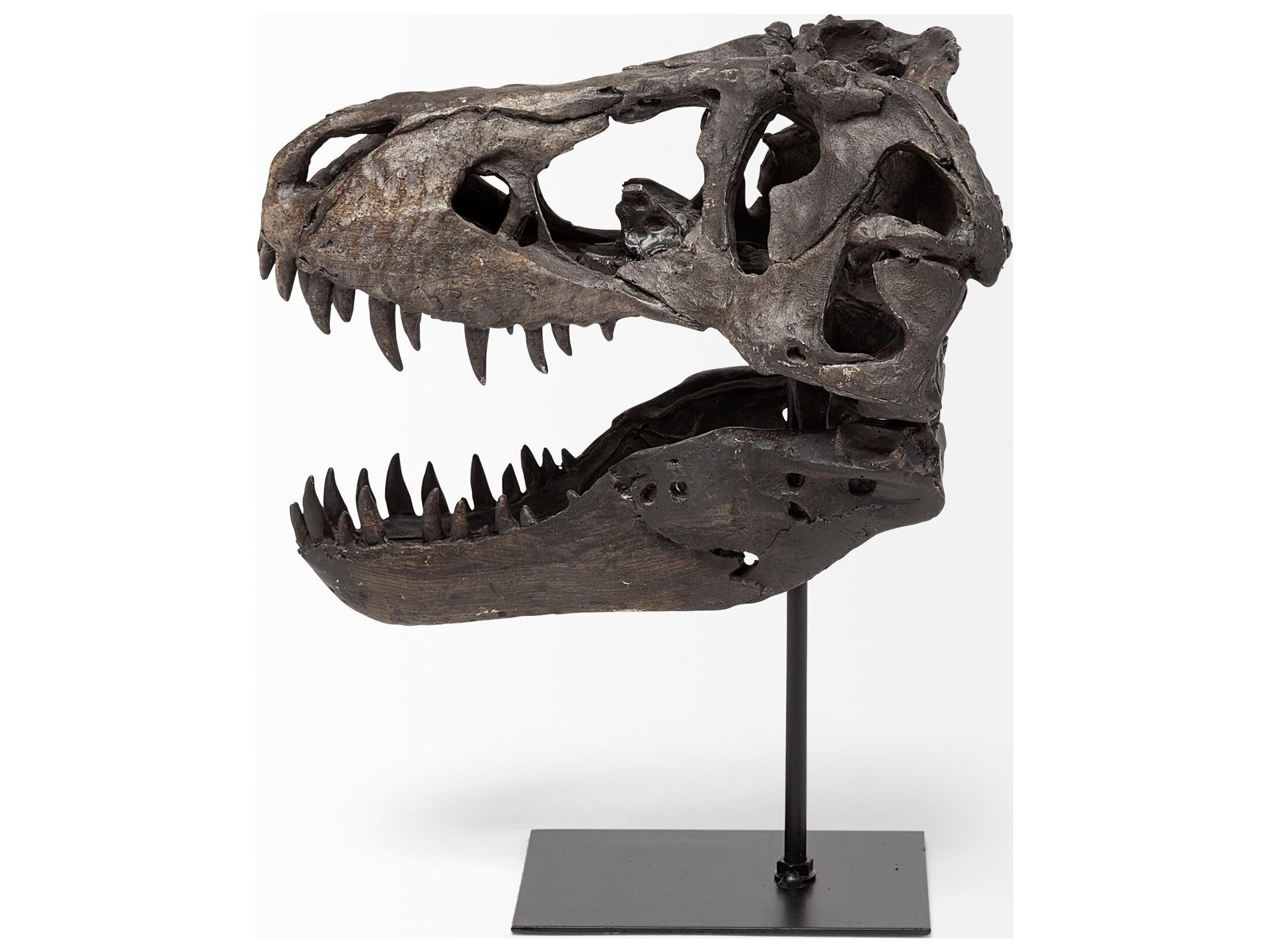 Mercana Jurassic 6L x 10W Brown Resin Tyrannosaurus Skull Replica