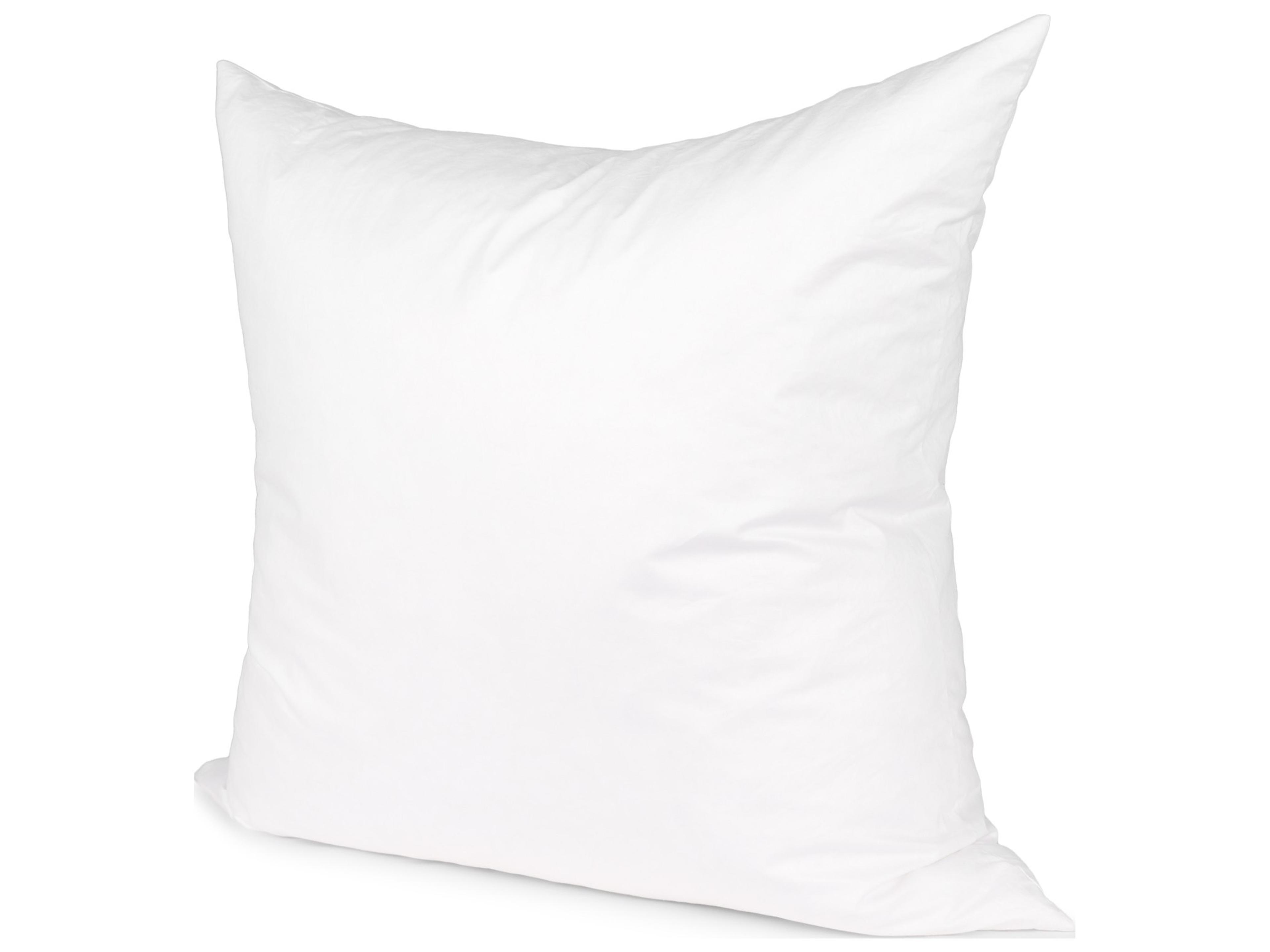 22 x 22 Down pillow insert