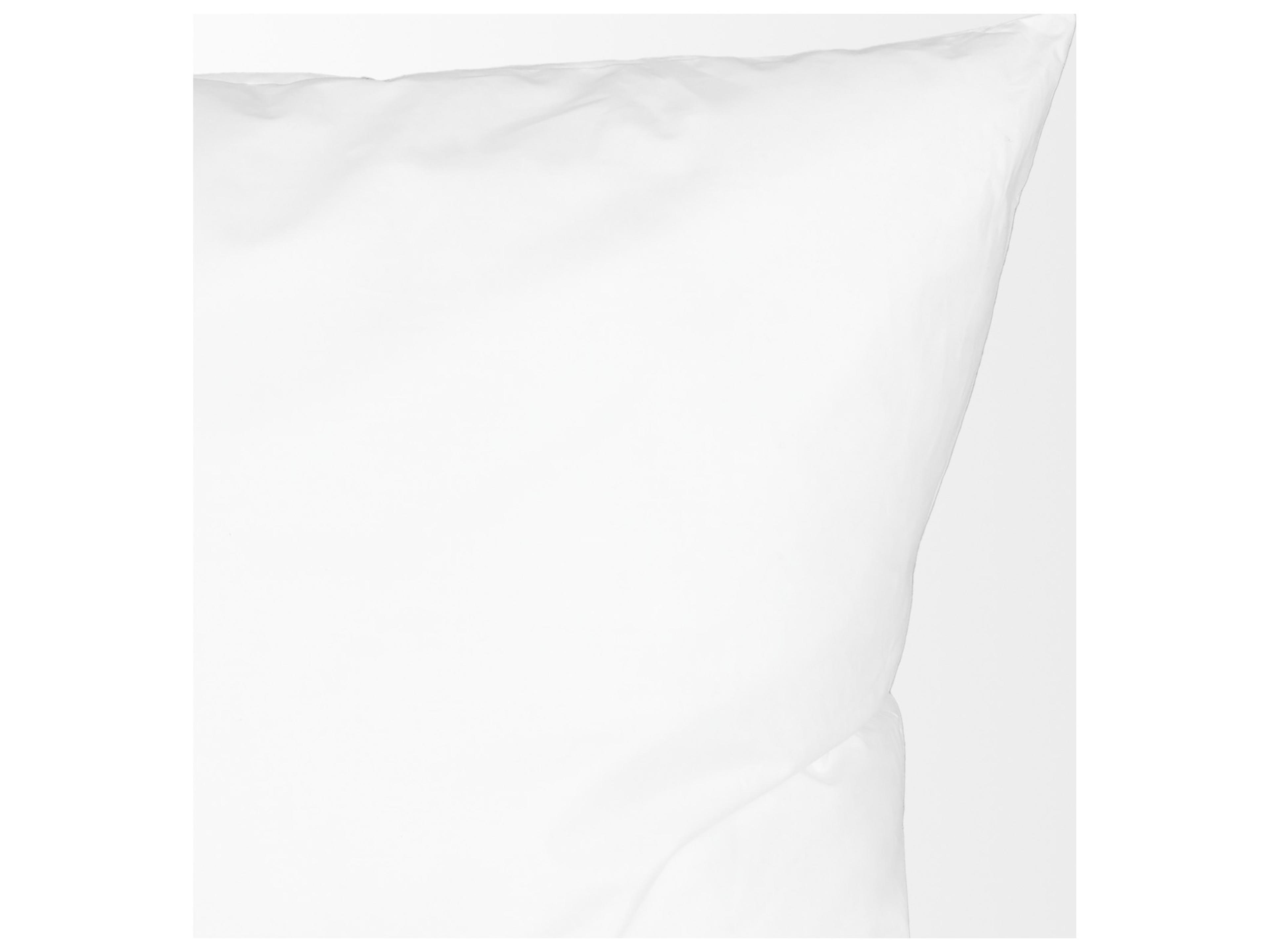 Mercana 20 x 20 Non-Allergen Pillow insert